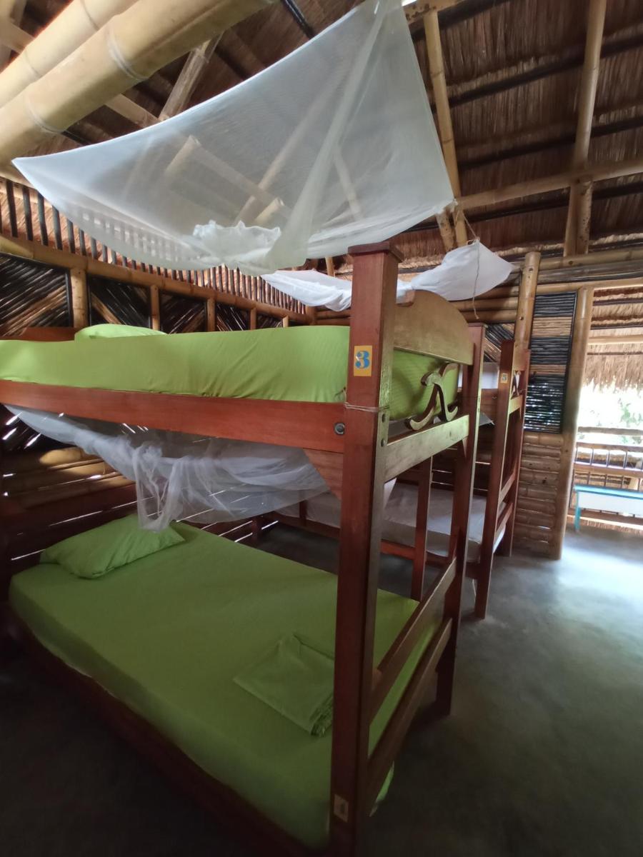 Bed in 8-Bed Mixed Dormitory Room photo 1