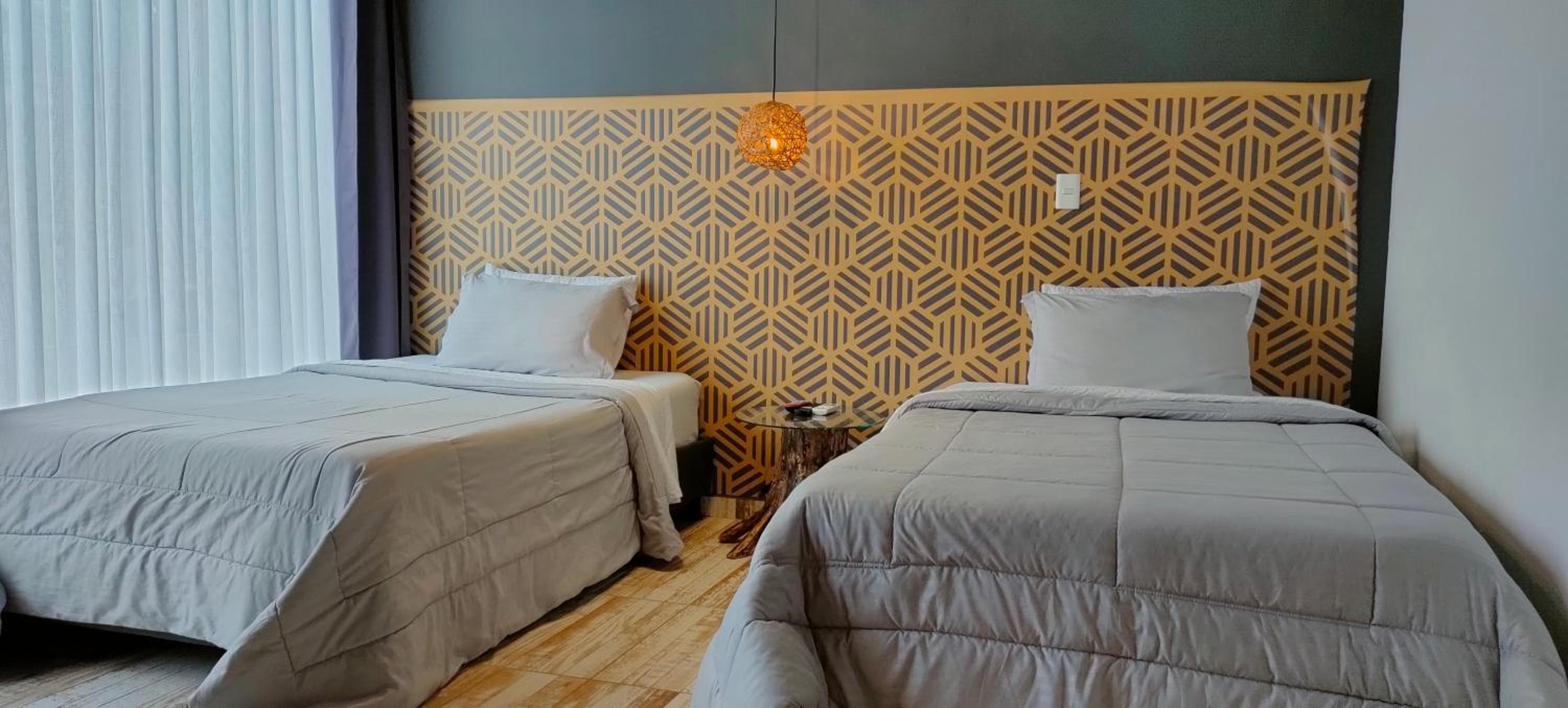 Twin Room photo 1