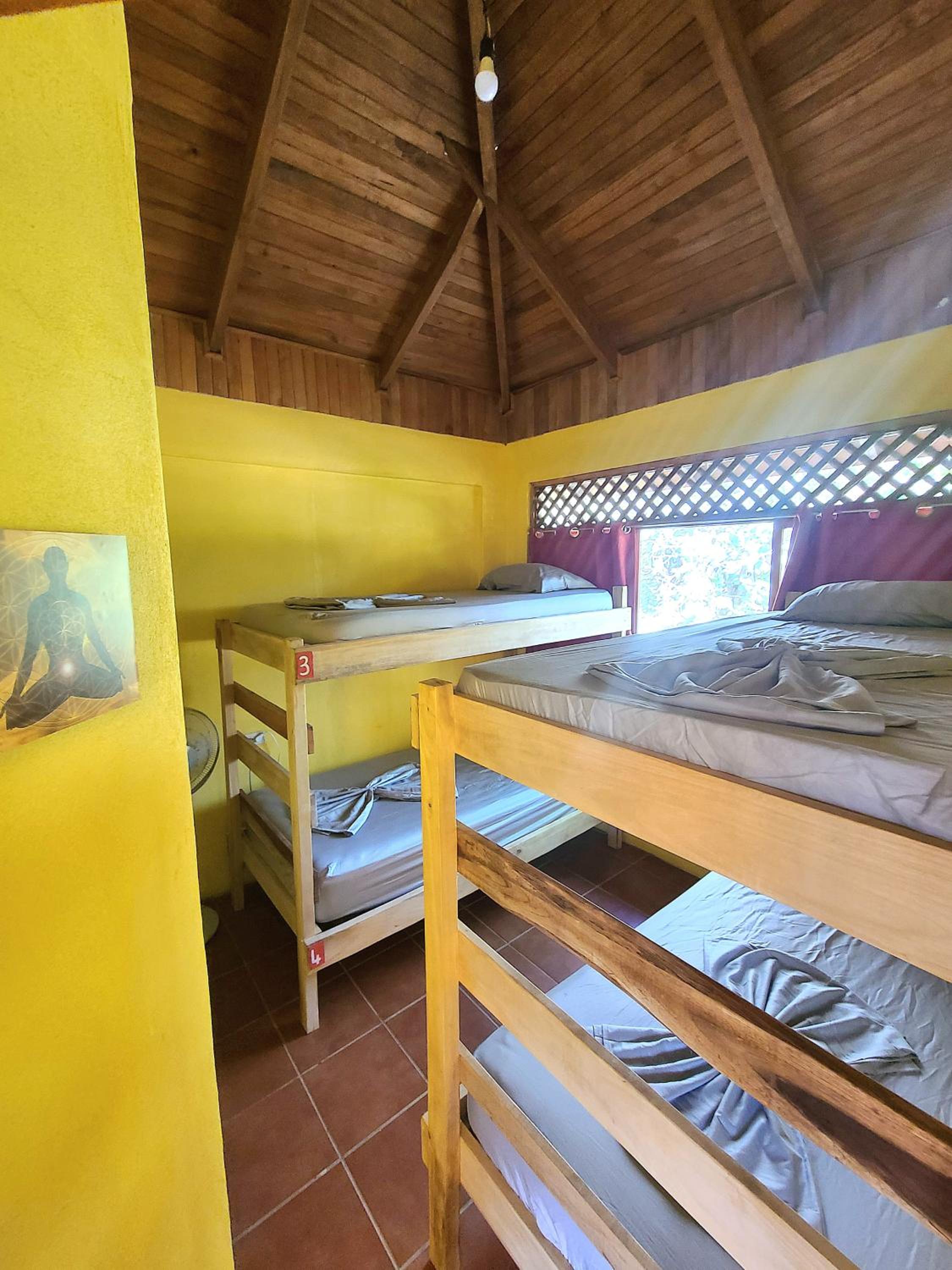 4-Bed Mixed Dormitory Room