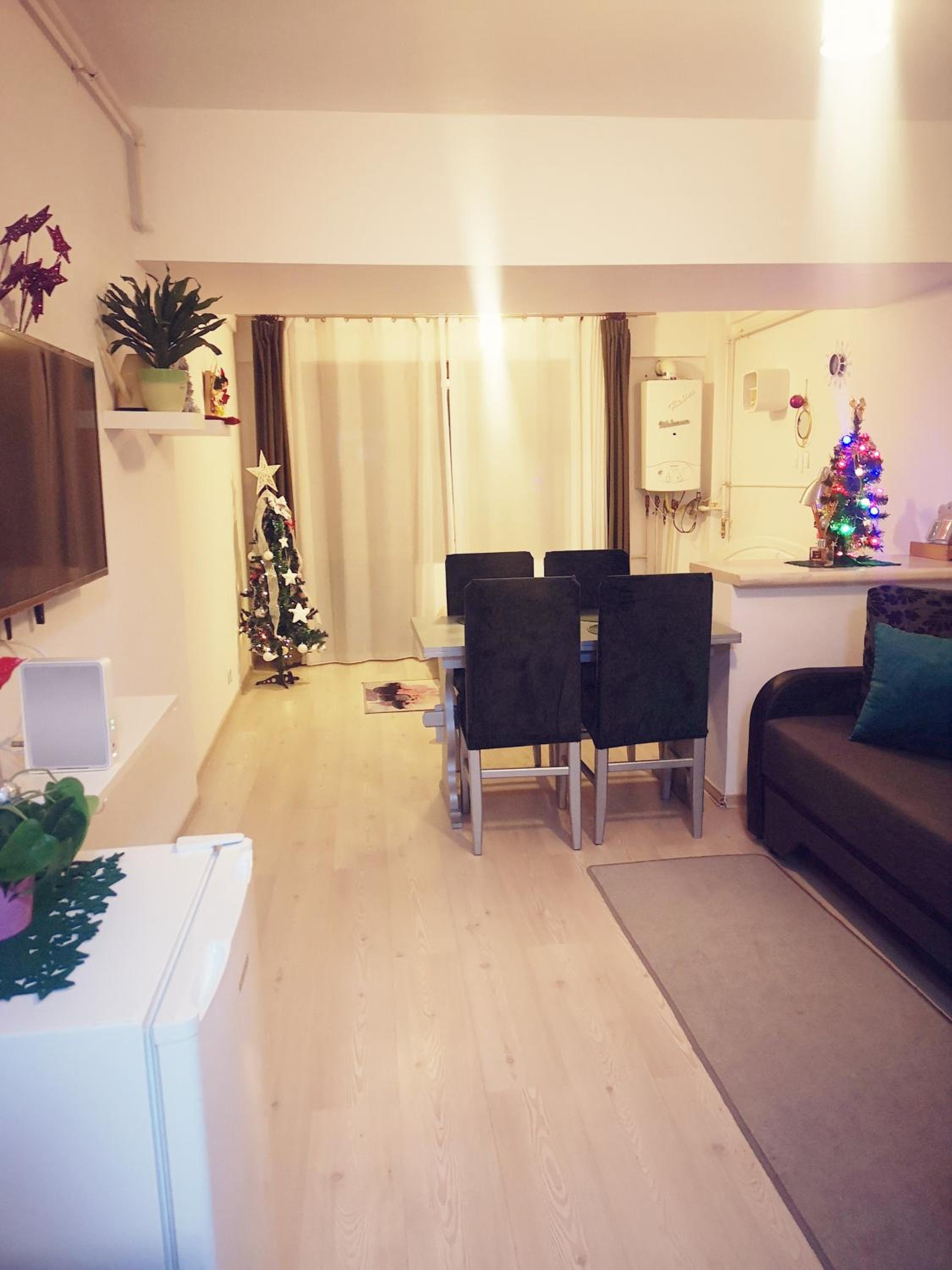 Studio Apartment photo 3