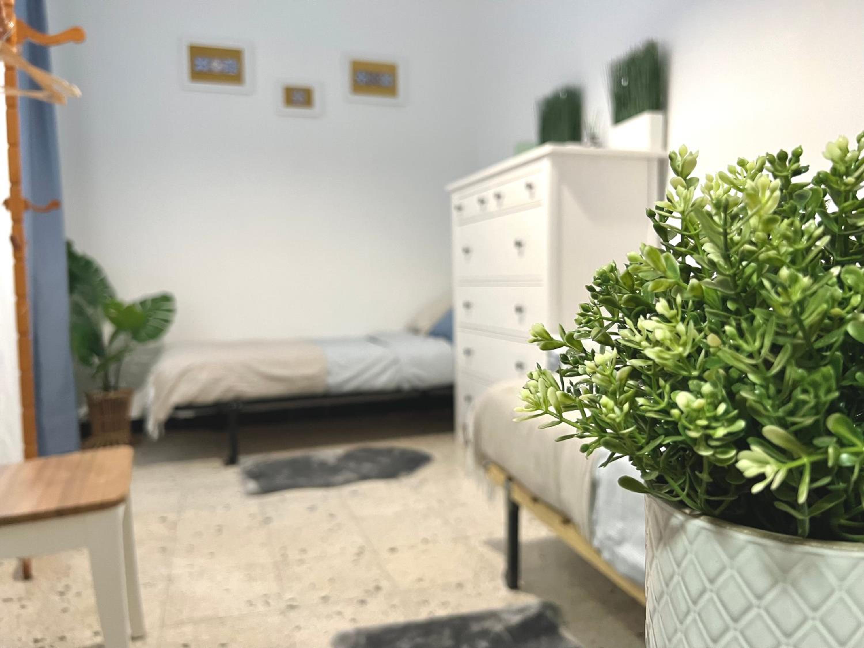 Apartment - Photo 17