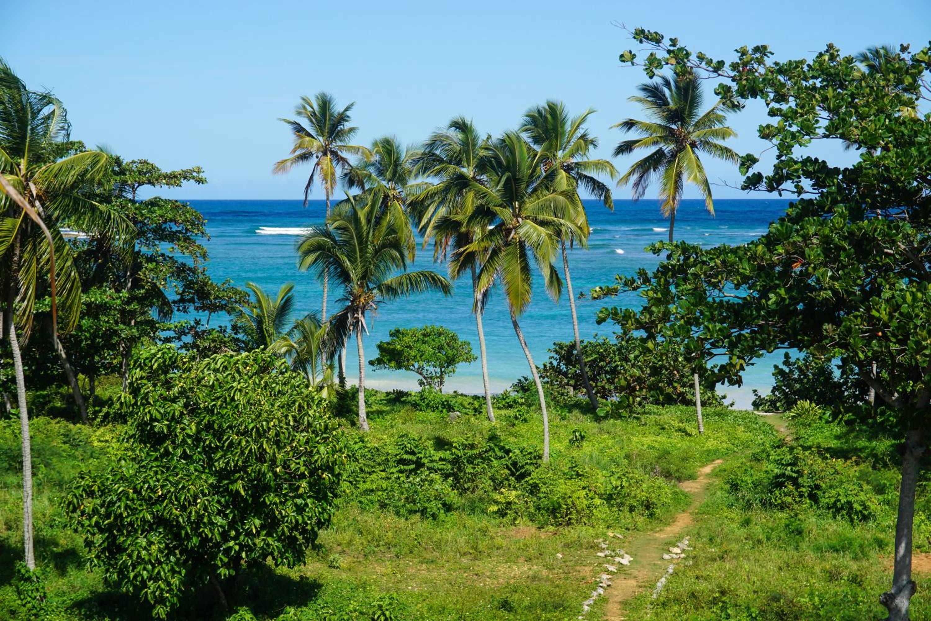Studio Apartment with Sea View photo 3