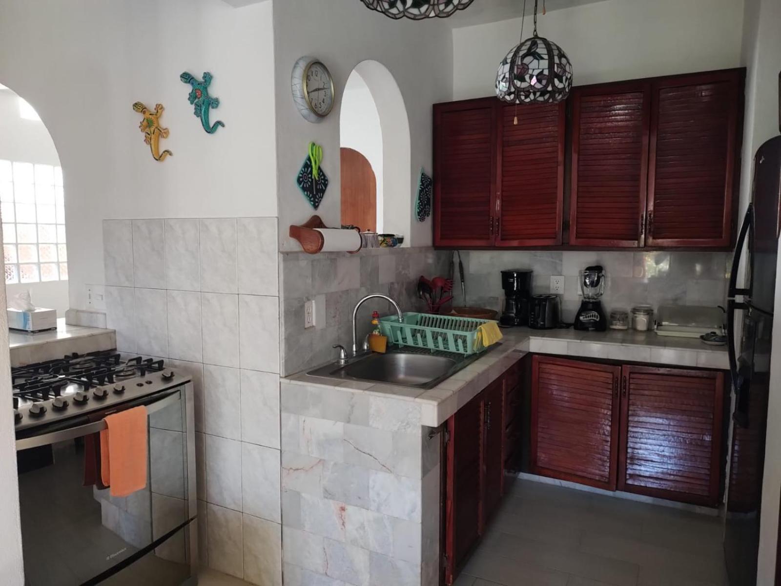 Apartment with Terrace photo 2