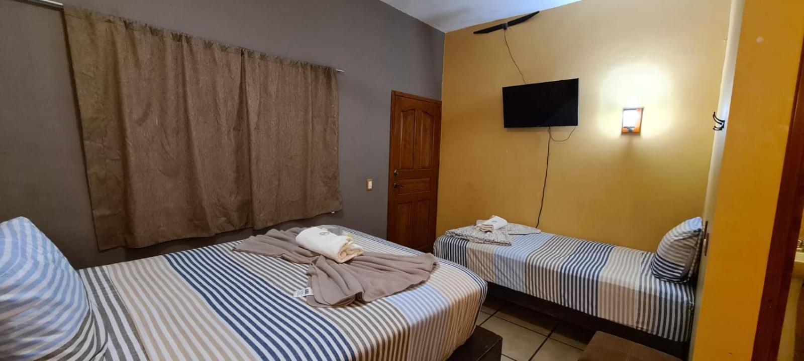 Twin Room - Photo 2