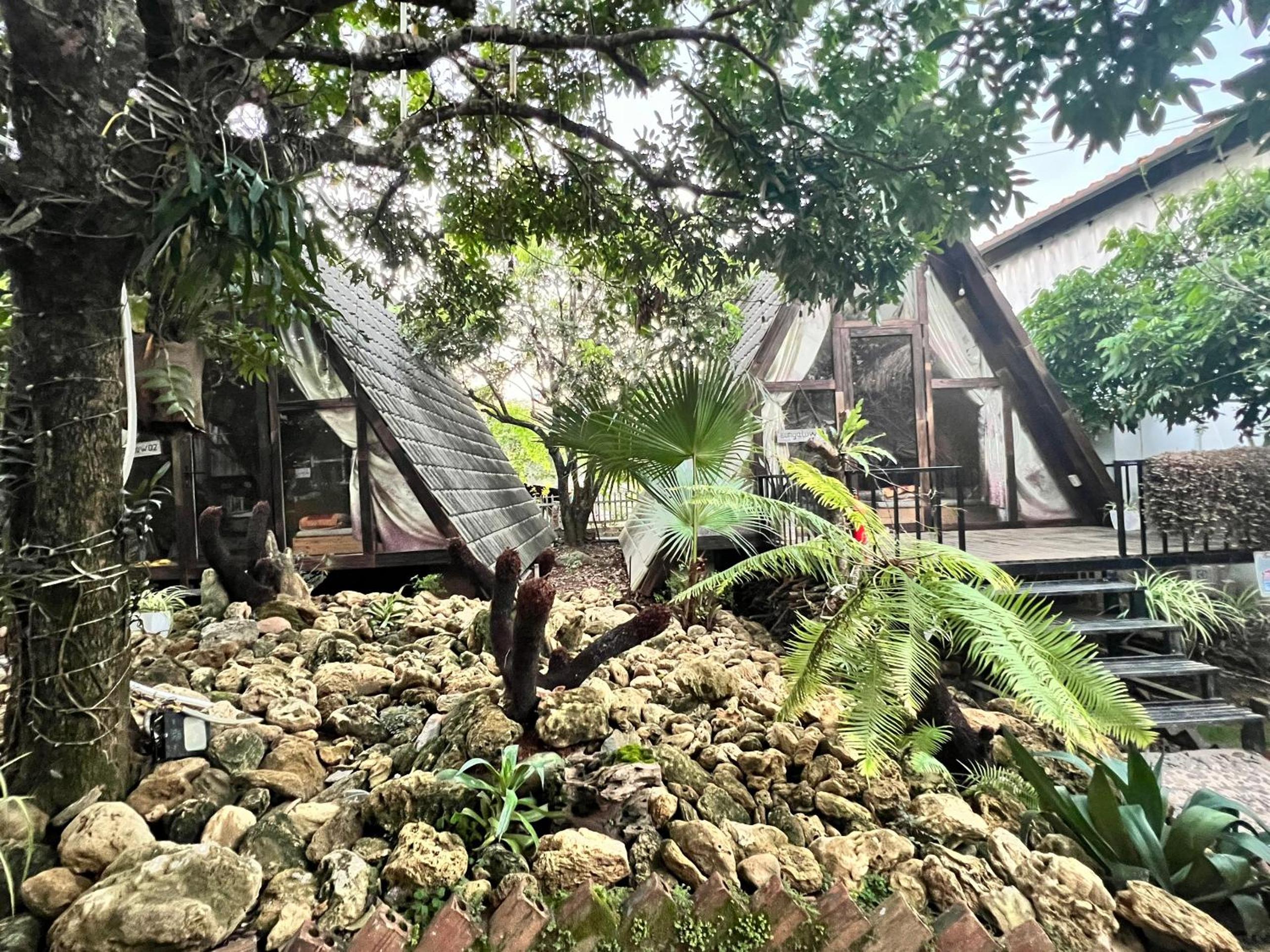 Deluxe Bungalow photo 3