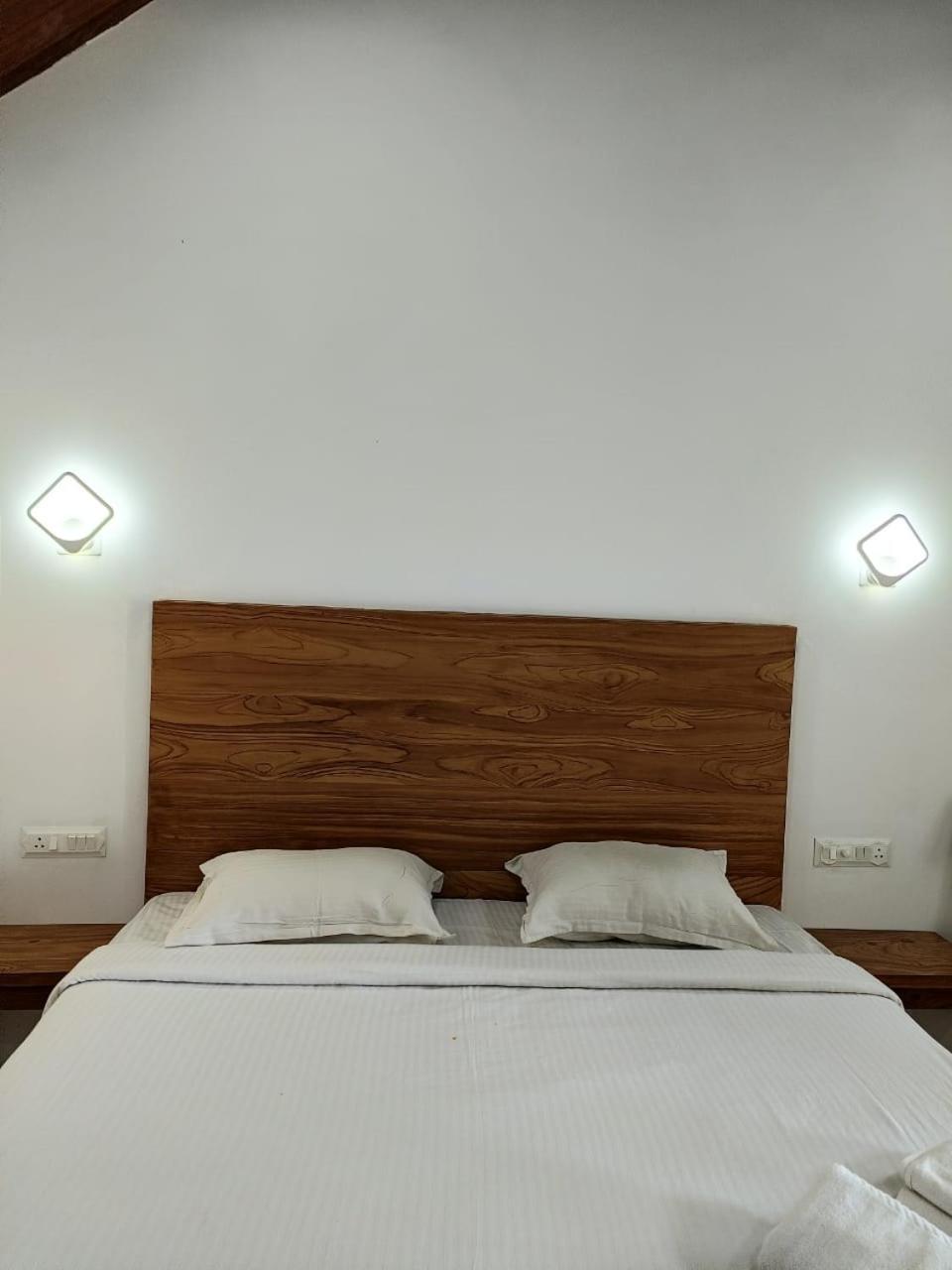 King Room photo 1