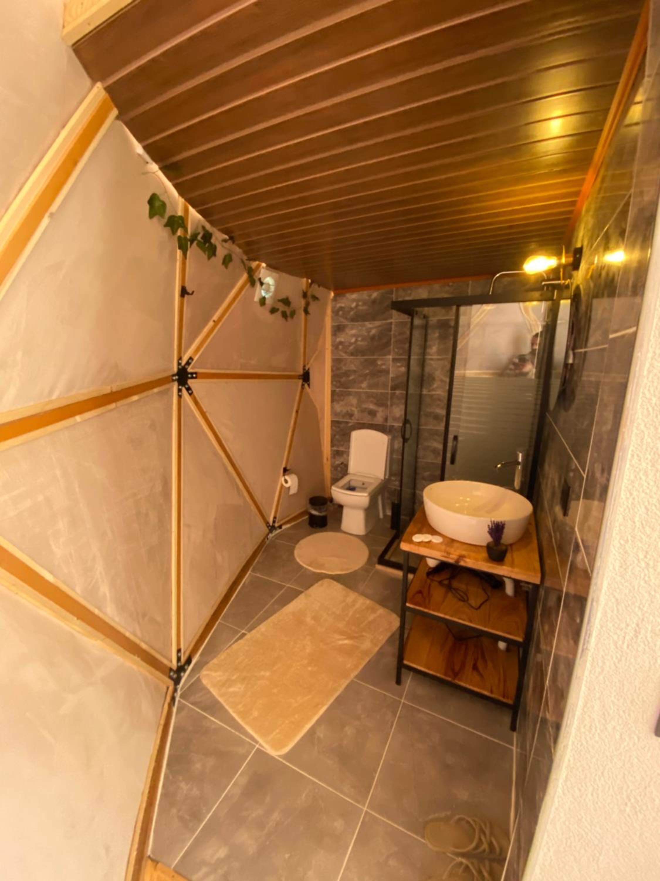 Deluxe King Suite photo 2