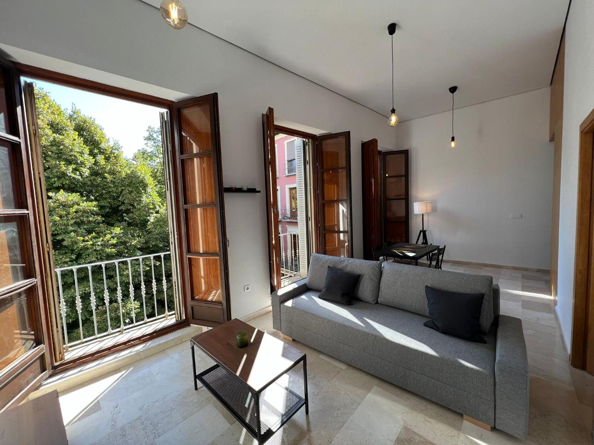 Apartamento de una habitación