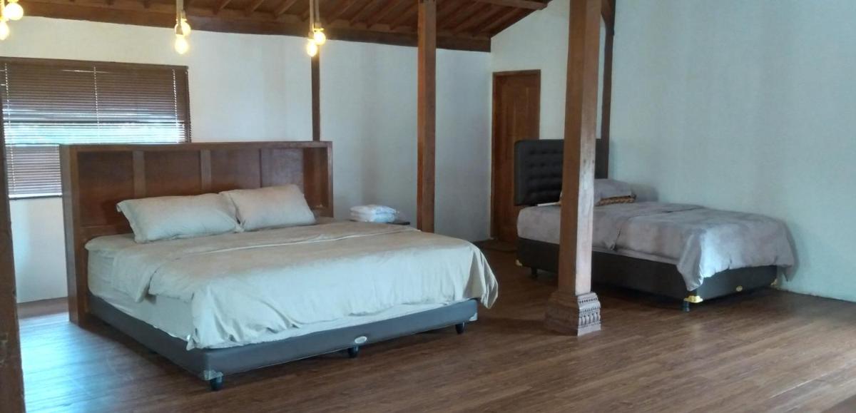 Double or Twin Room with City View photo 3