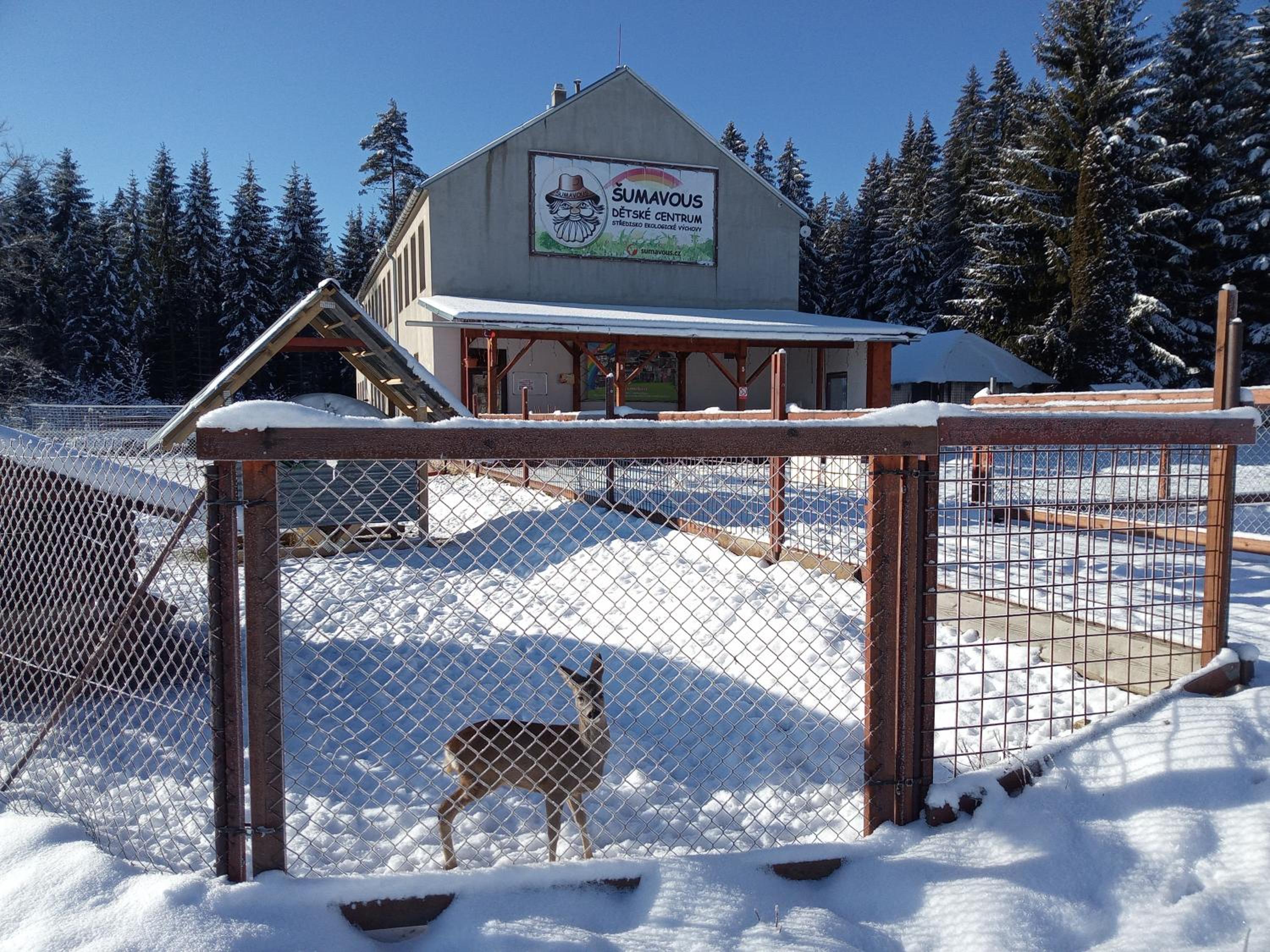 Chalet photo 1