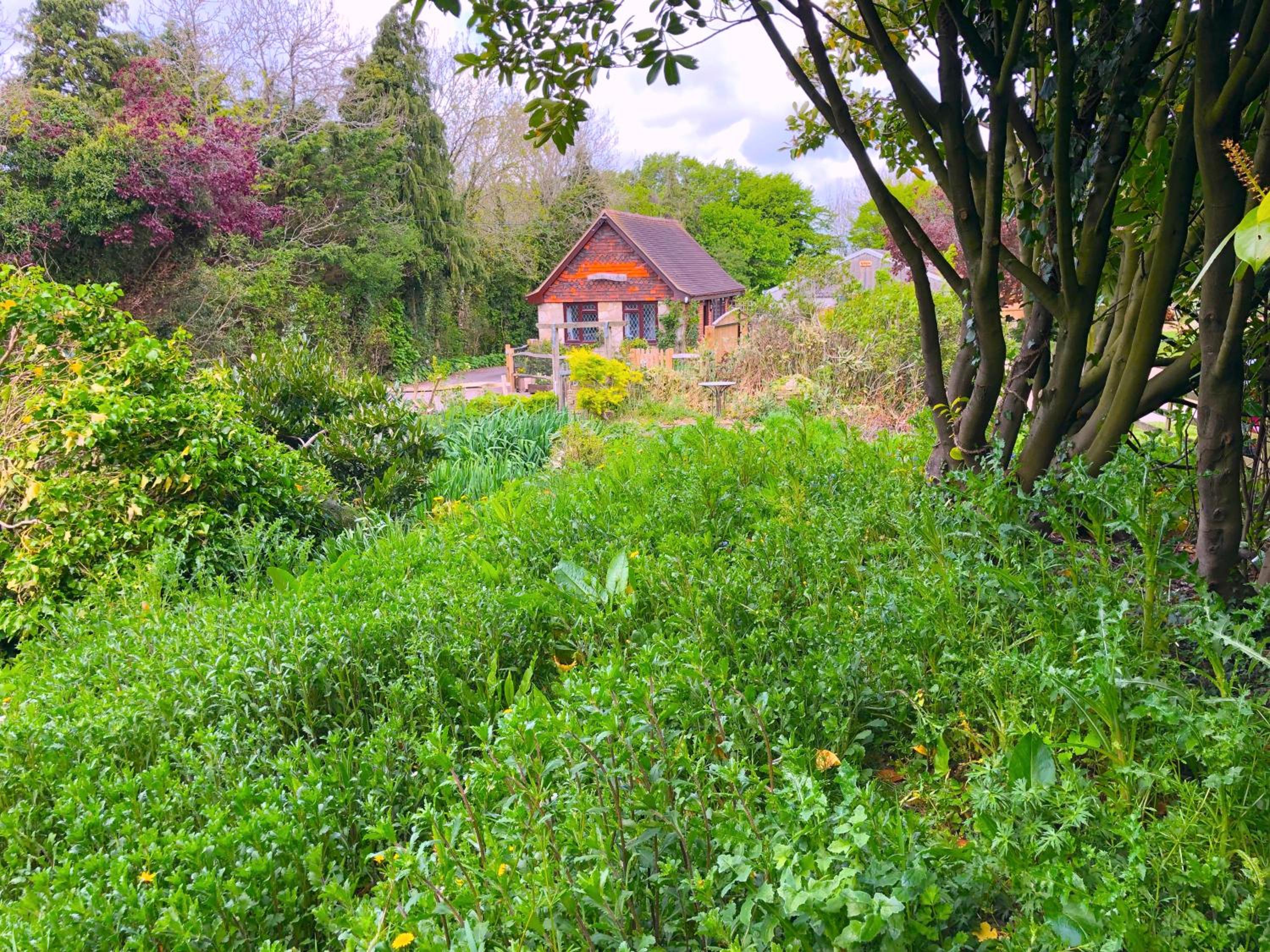Cottage with Garden View photo 3