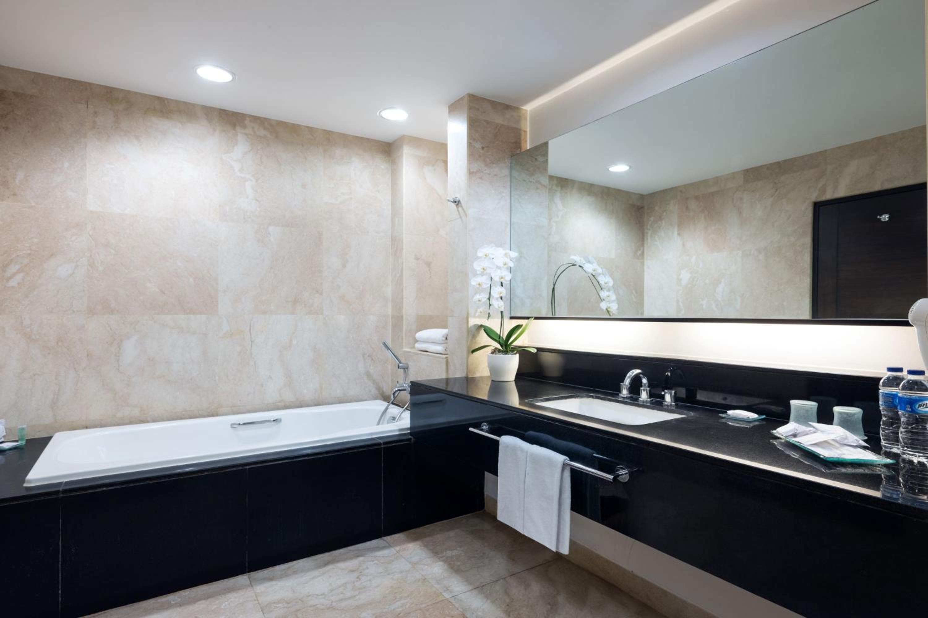 Suite - Photo 2