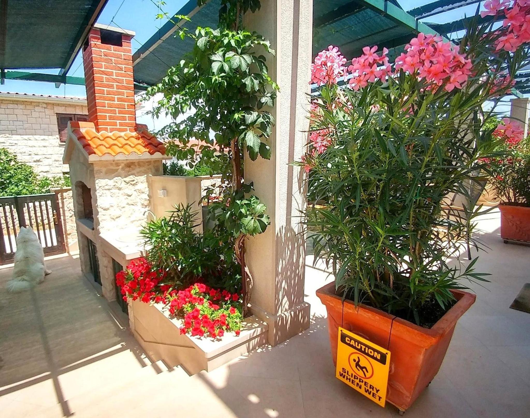Studio Apartment with Terrace photo 3