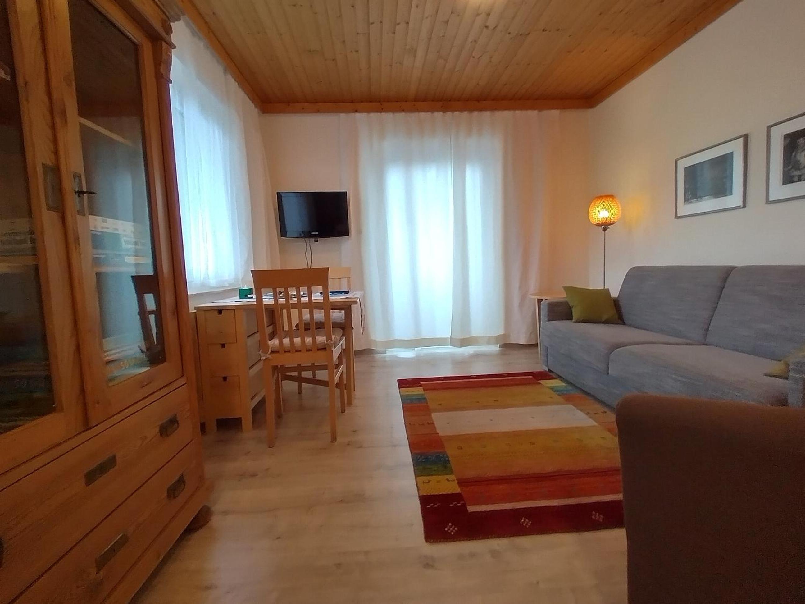 Large One-Bedroom Apartment with Balcony and Lake View photo 1