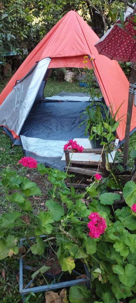 Tent