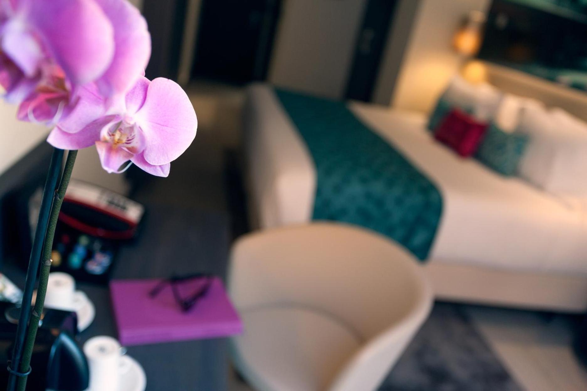 Standard Queen Room