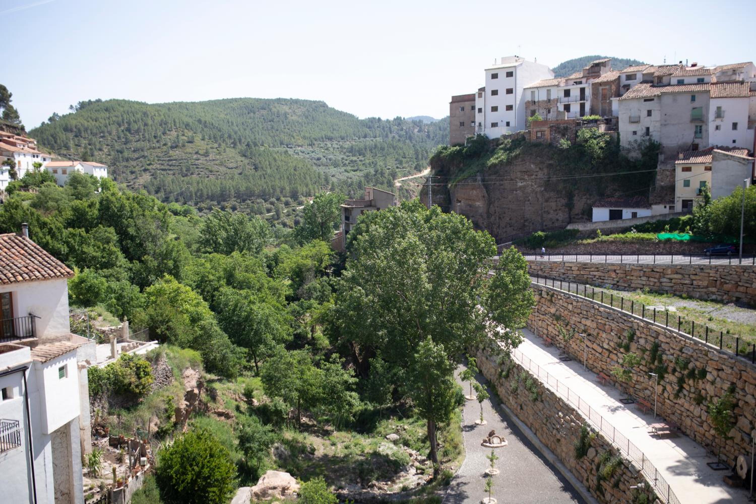 Apartment with Terrace photo 2