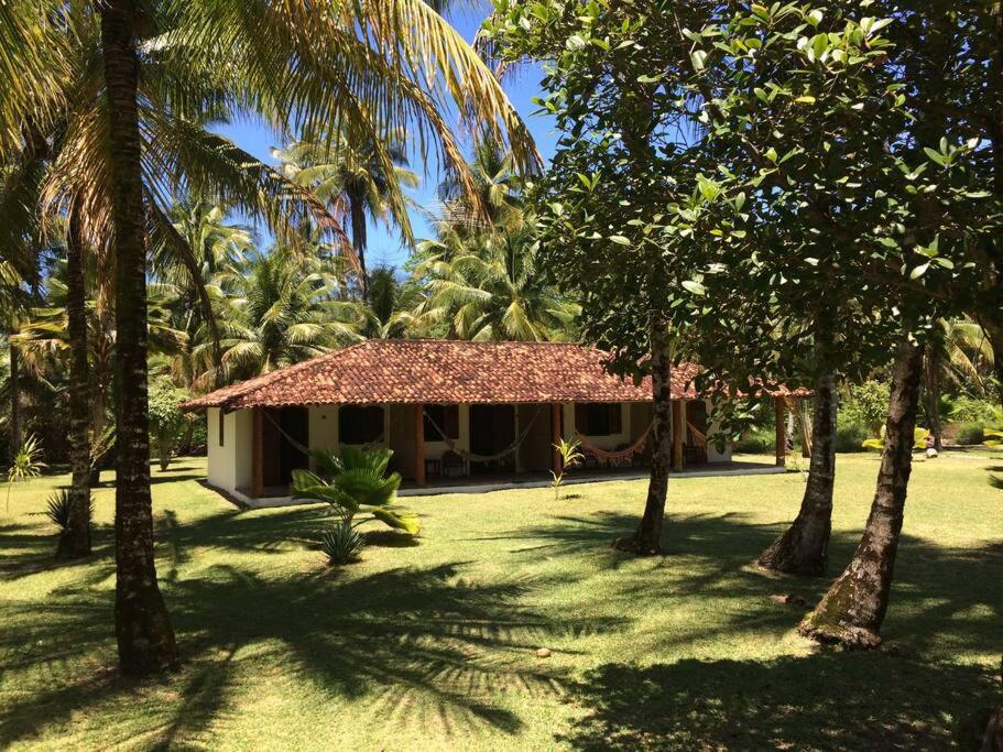 Double Room with Park View photo 2
