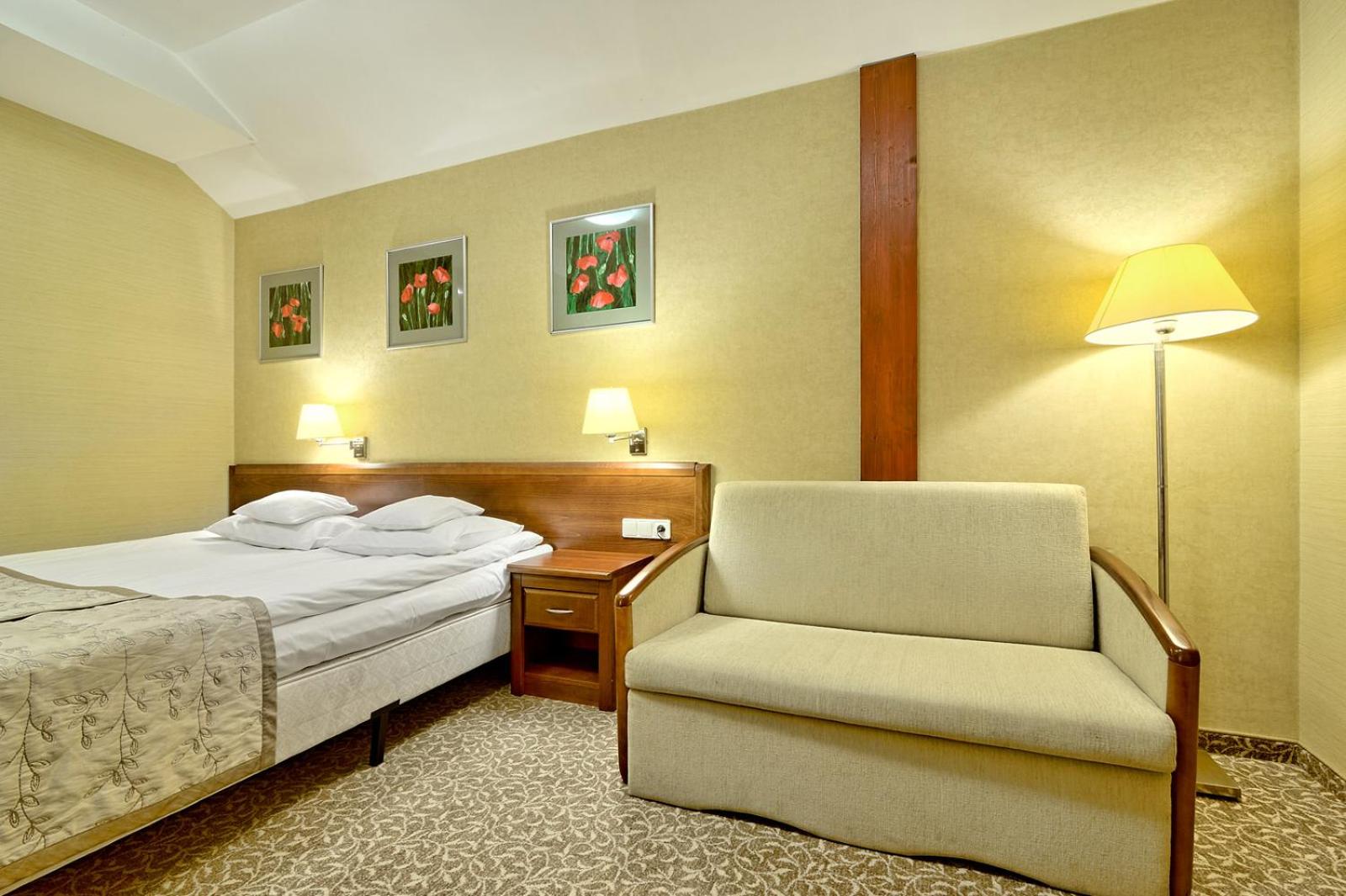 Large Double Room photo 2