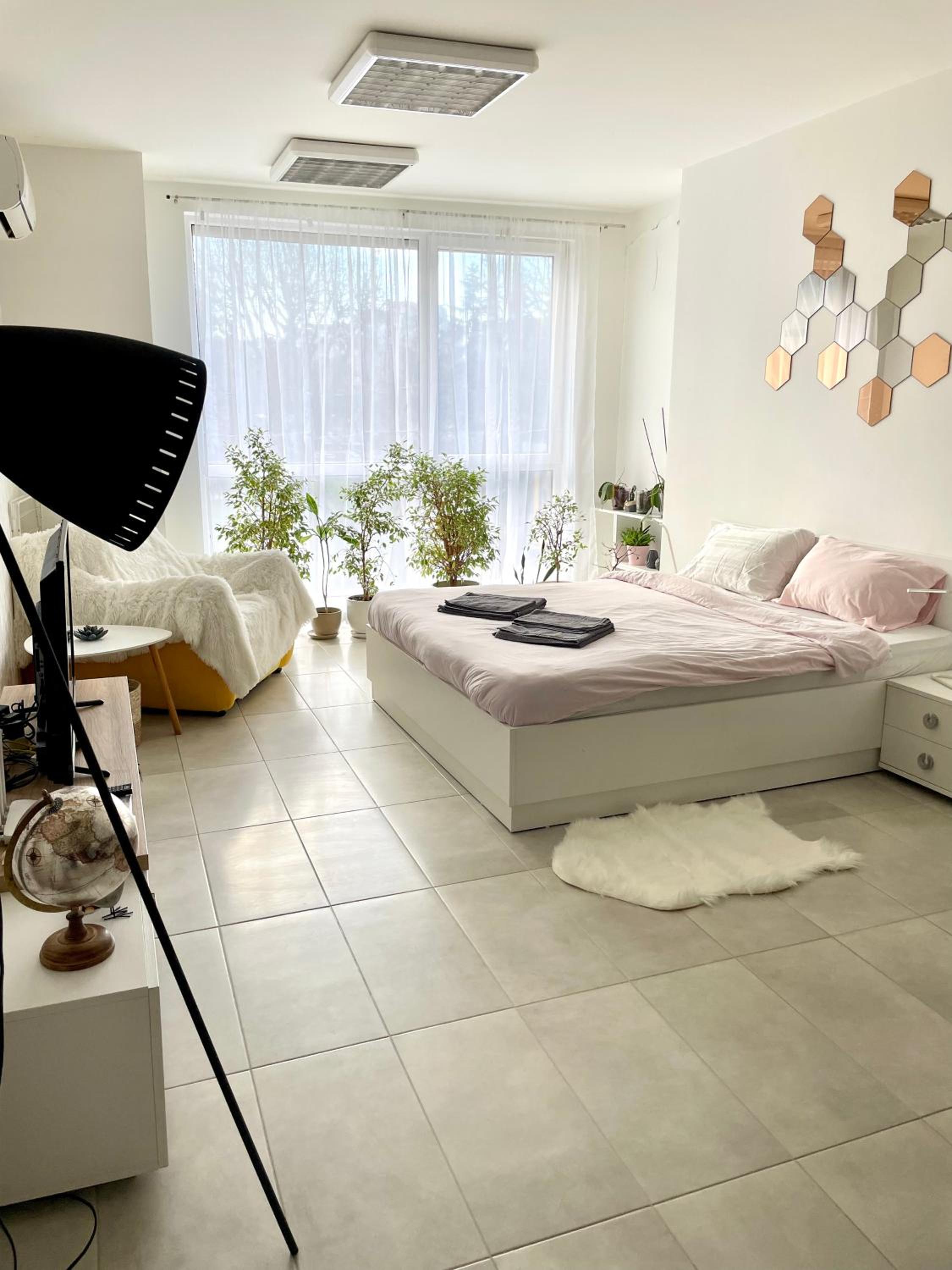 Studio Apartment photo 1