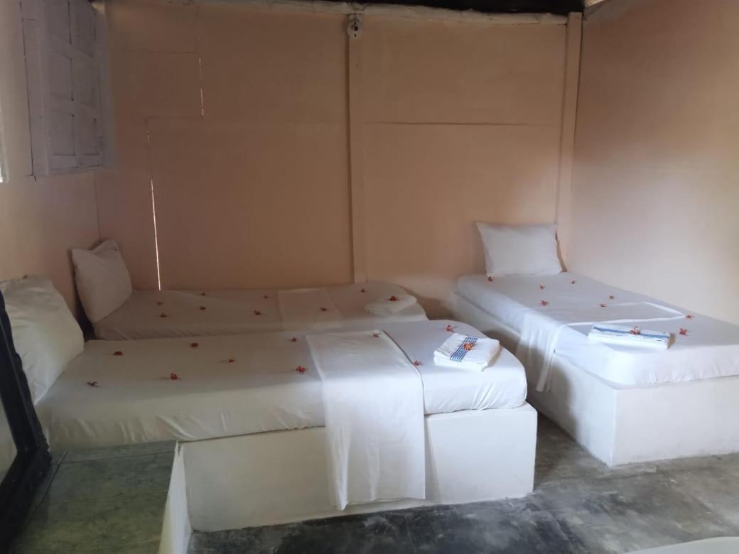 6-Bed Mixed Dormitory Room photo 3
