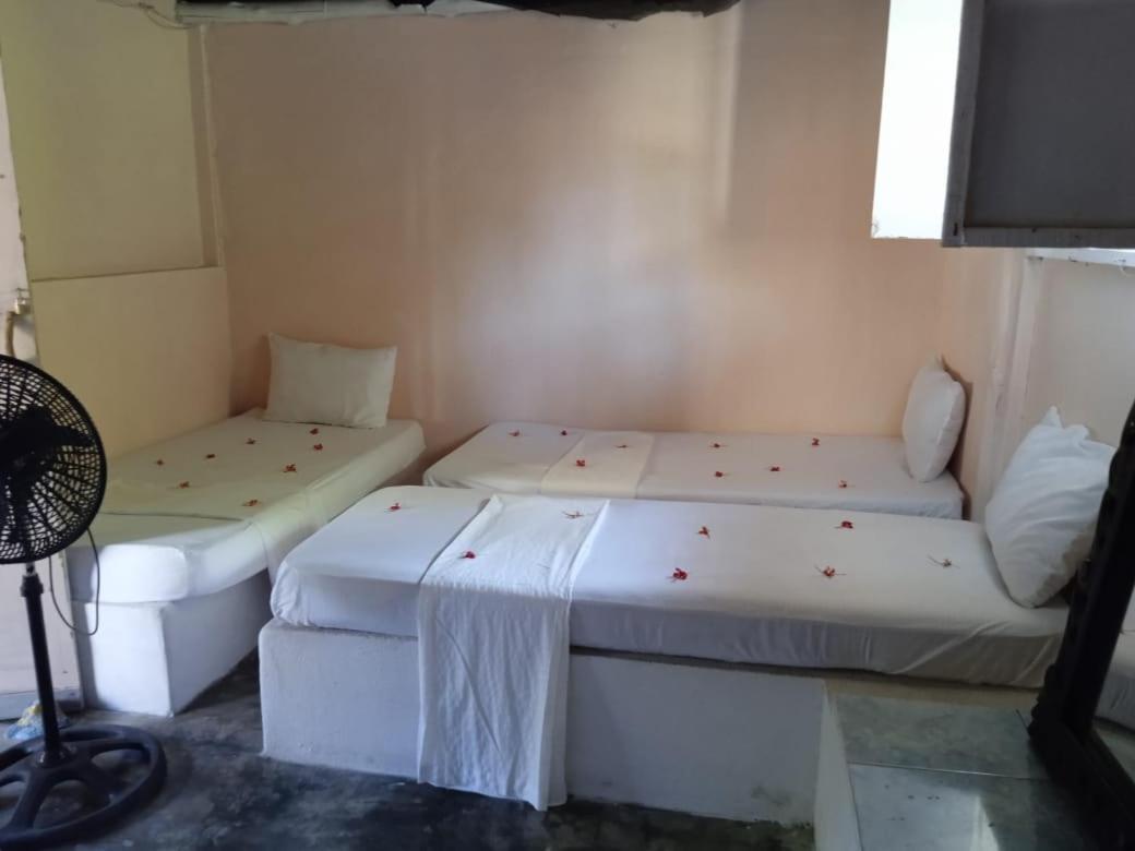 6-Bed Mixed Dormitory Room photo 2