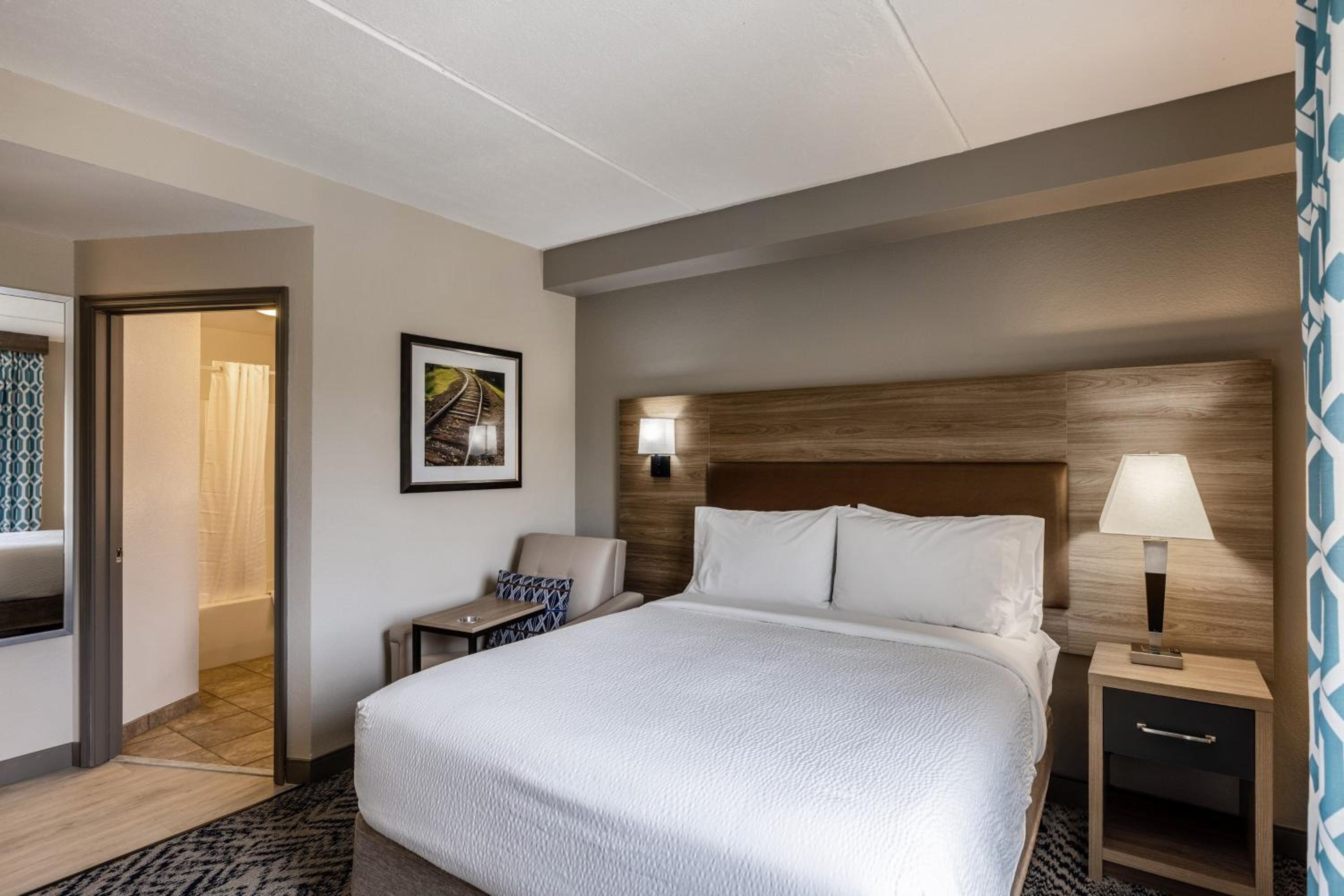 King Studio Suite - Photo 3