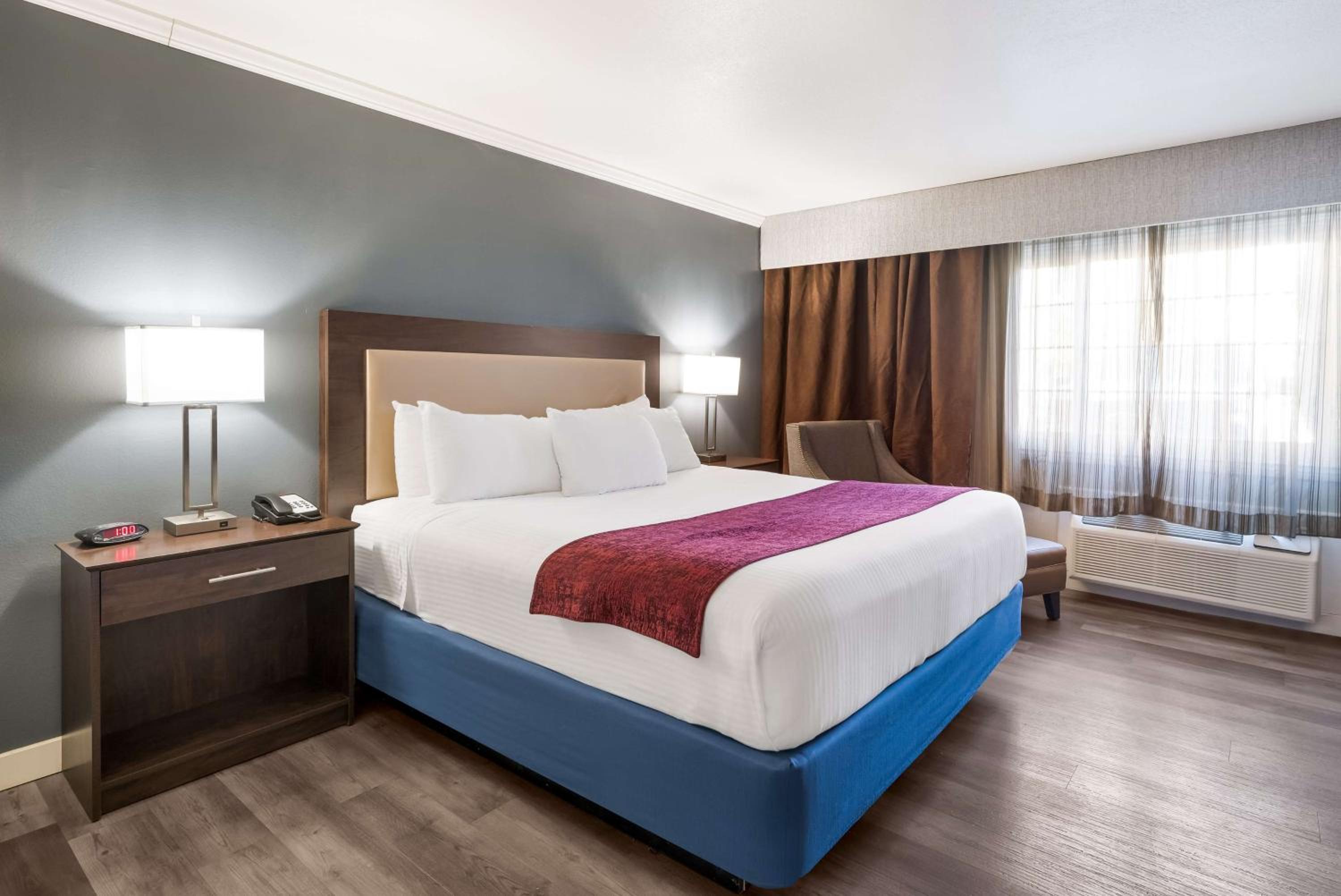 King Room with Roll-In Shower - Mobility Access/Communication Assistance - Photo 3