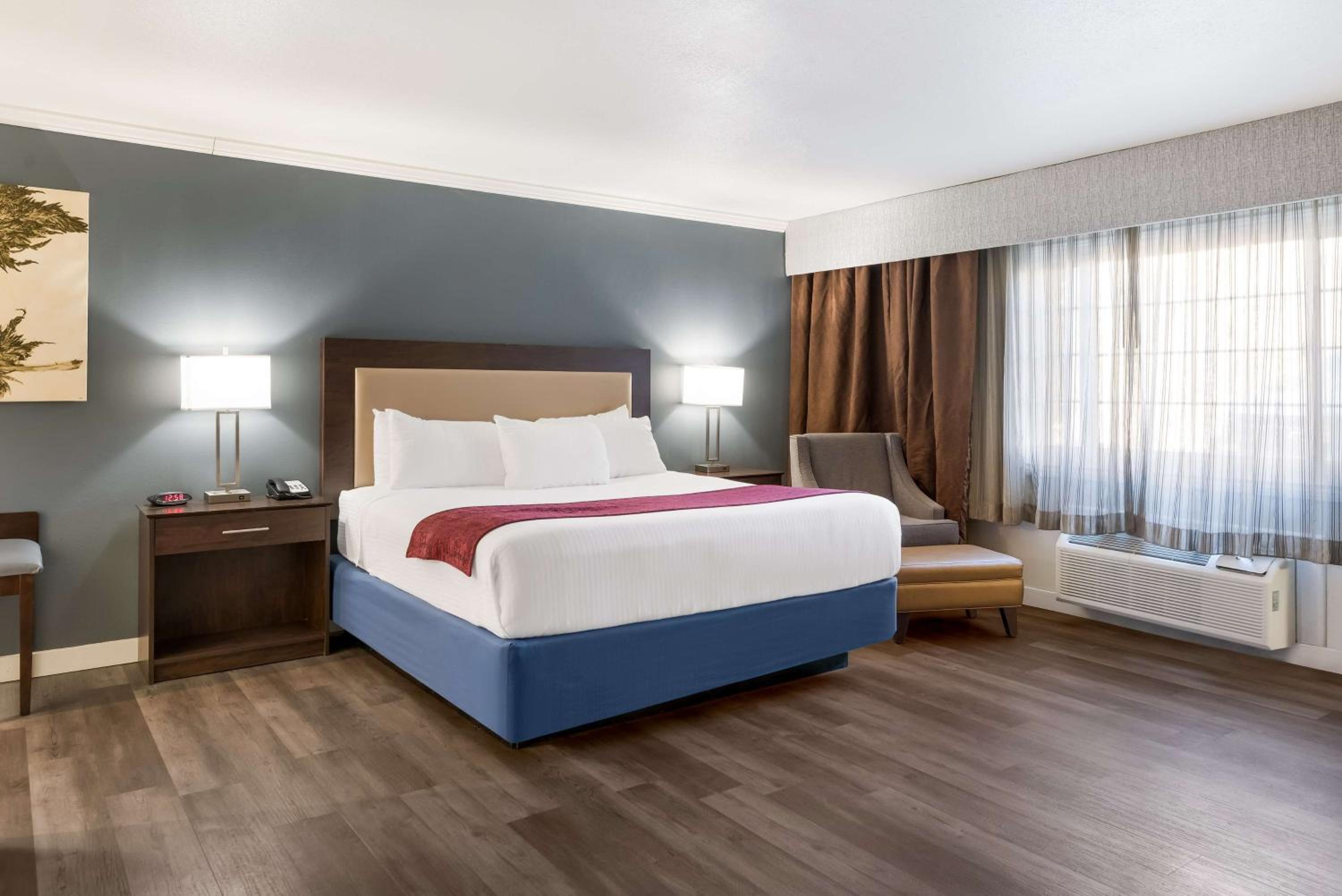 King Room with Roll-In Shower - Mobility Access/Communication Assistance - Photo 1