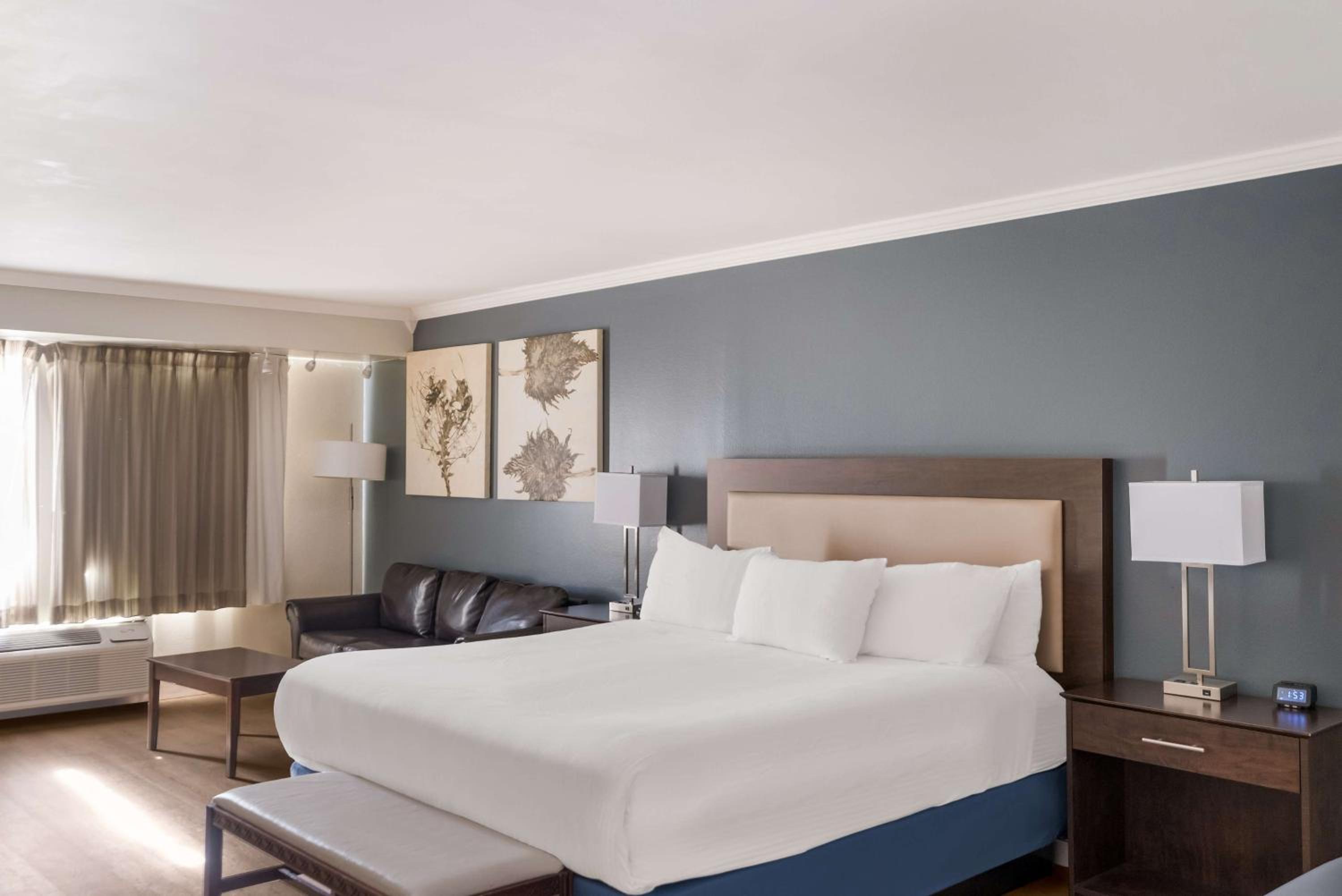 Deluxe King Room - Non Smoking - Photo 2