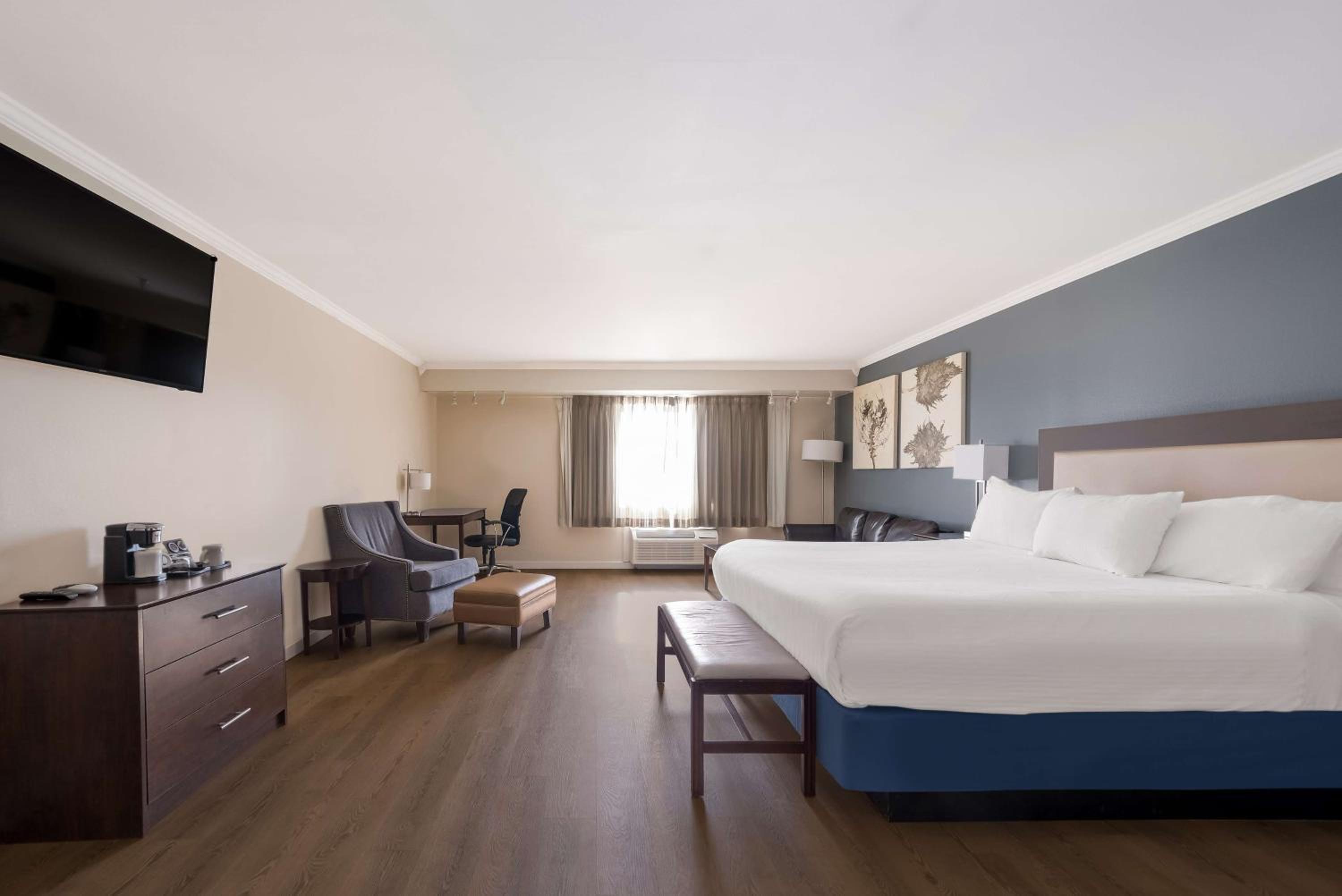 Deluxe King Room - Non Smoking - Photo 1