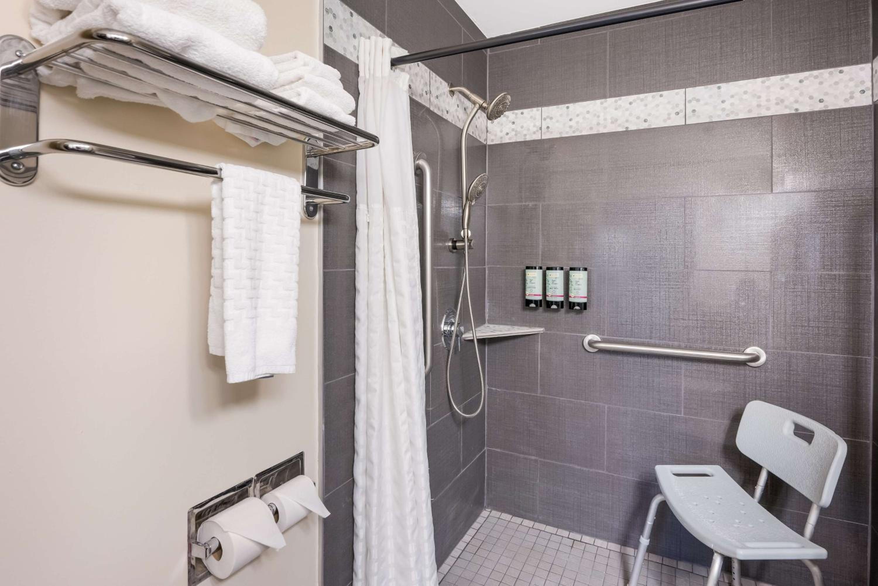 King Room with Roll-In Shower - Mobility Access/Communication Assistance - Photo 4