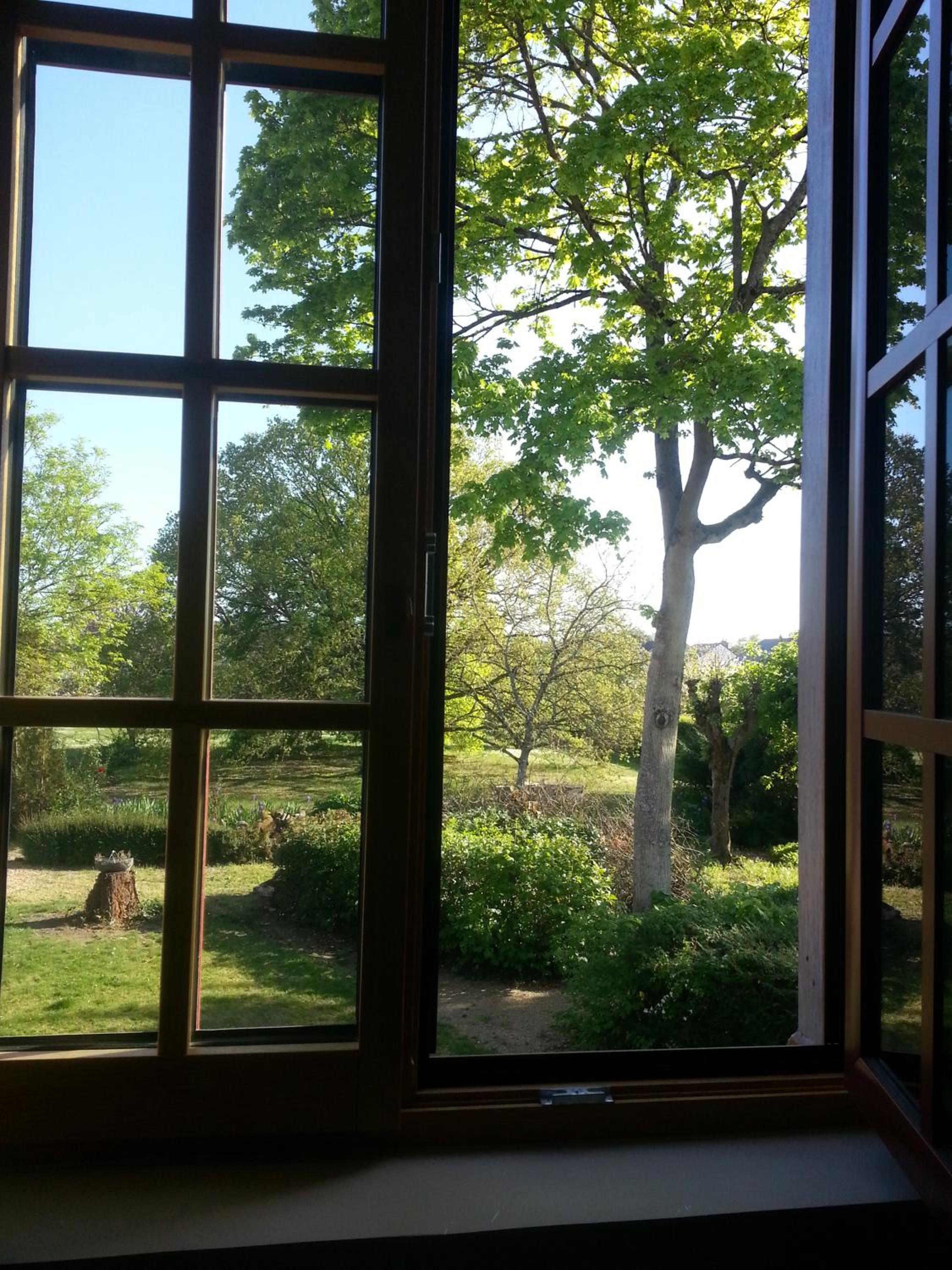 Double or Twin Room with Garden View