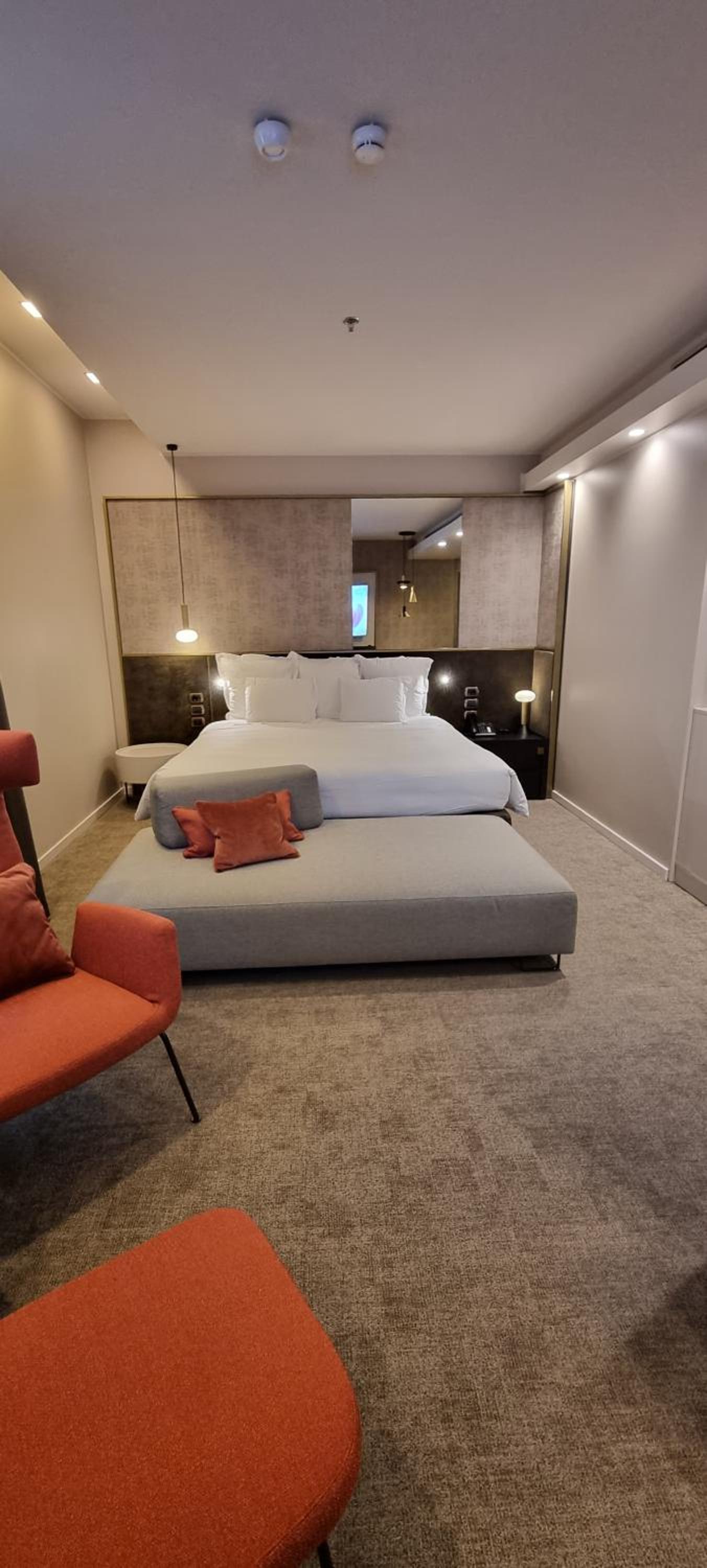 Deluxe One-Bedroom Junior King Suite  - Photo 14