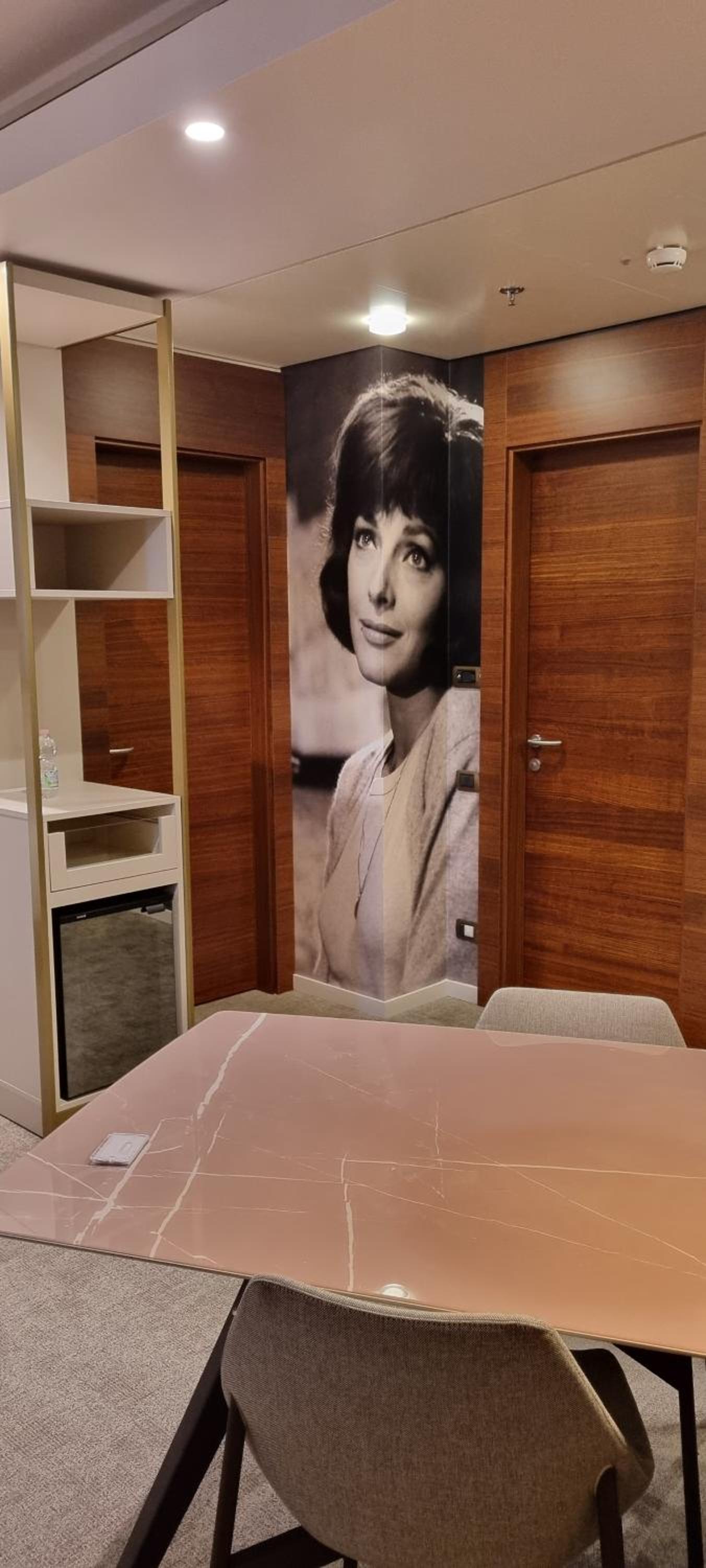 Deluxe One-Bedroom Junior King Suite  - Photo 18