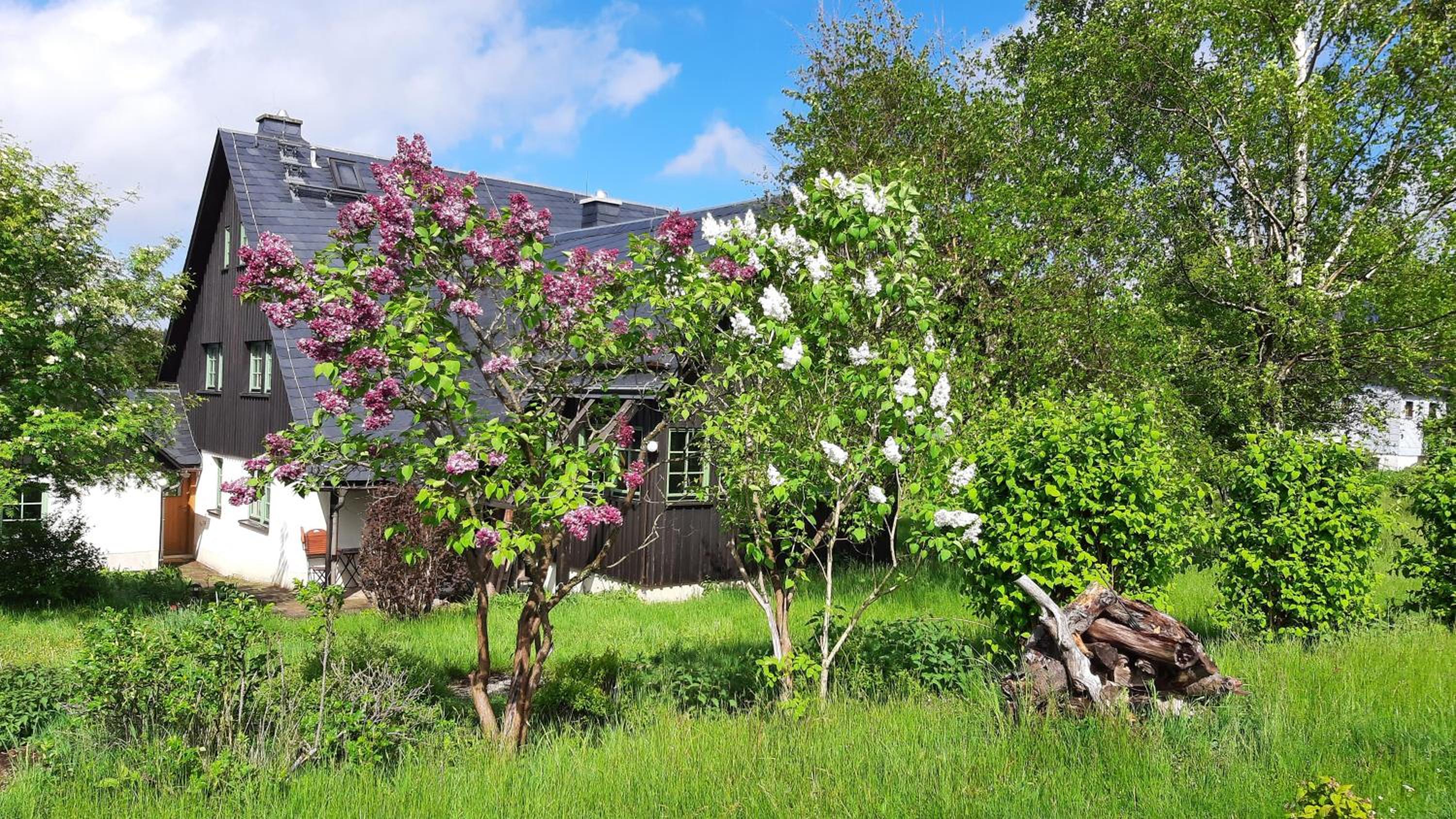 Vacation Home photo 3