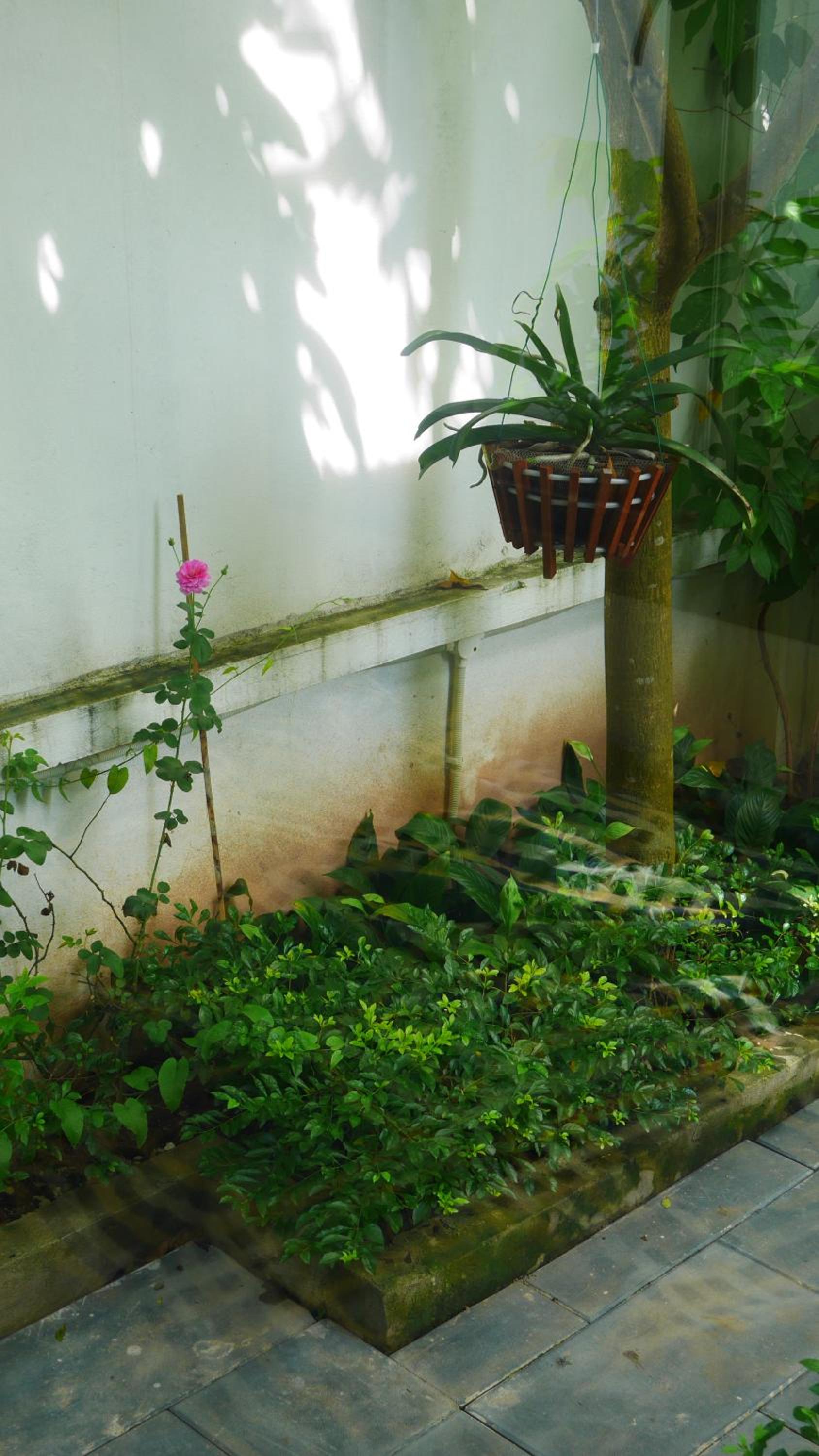 Double Room with Terrace photo 3