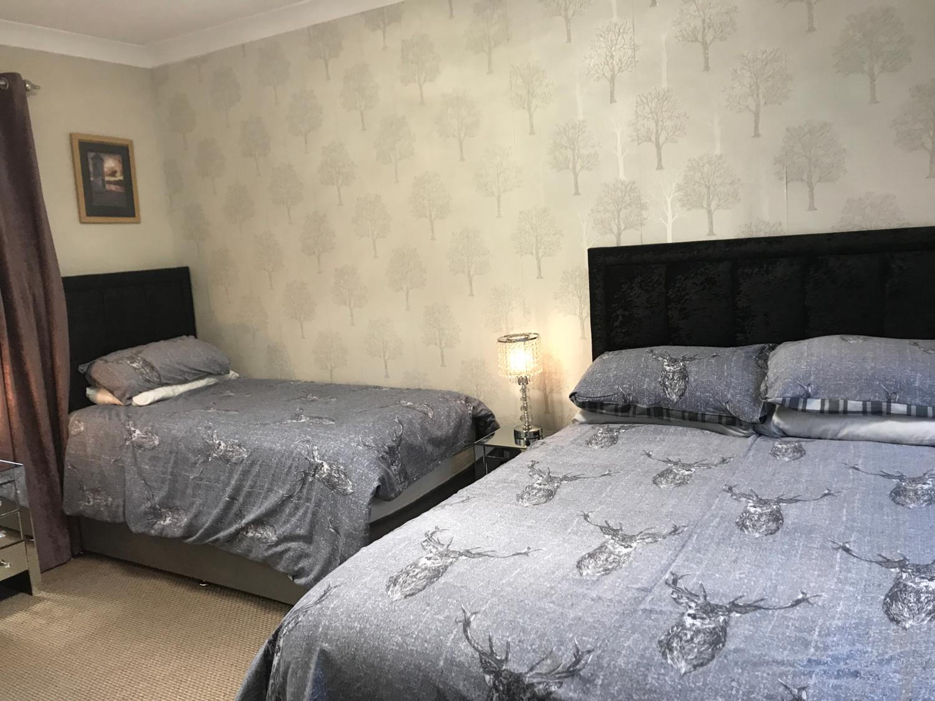 Twin Room photo 3