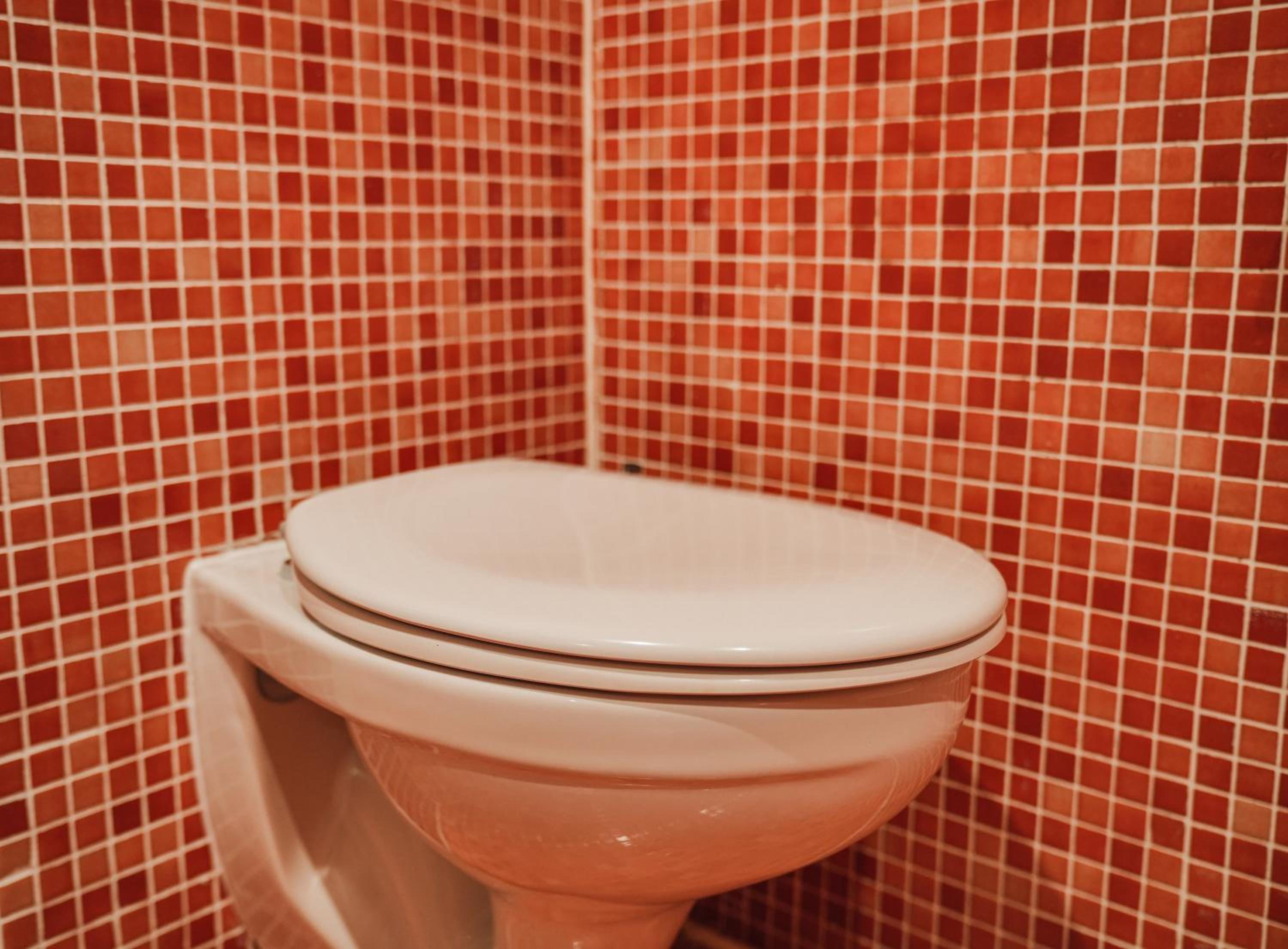 Comfort Room - Photo 17