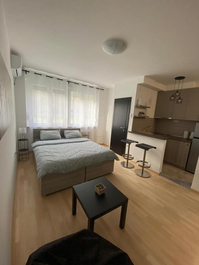 Studio Apartment photo 1