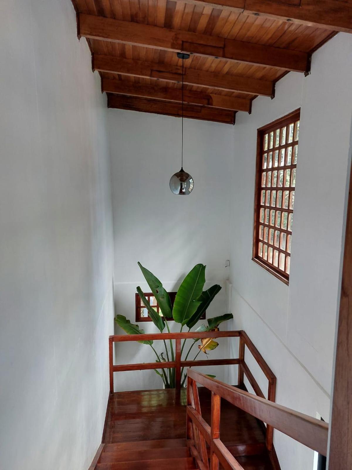 Five-Bedroom House photo 3