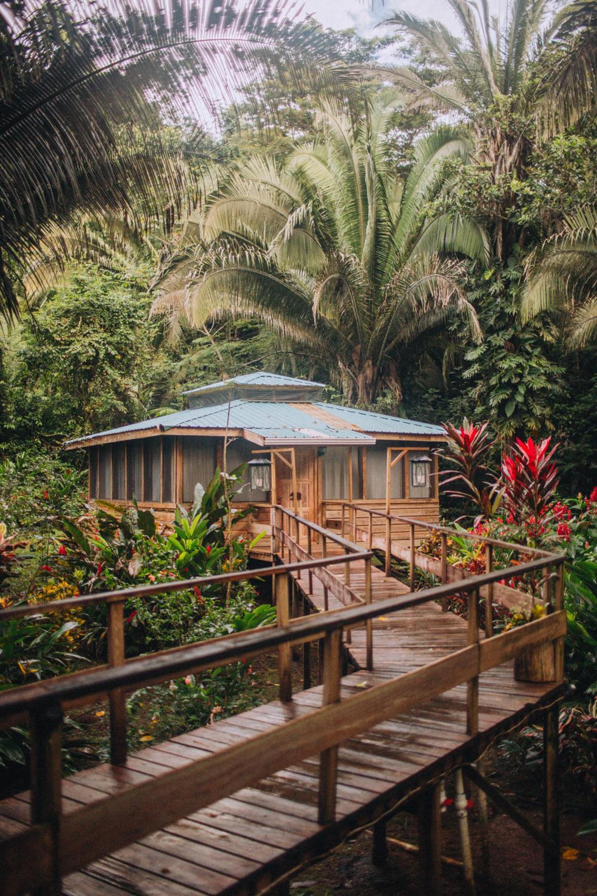 Rainforest Deluxe Cabana photo 2