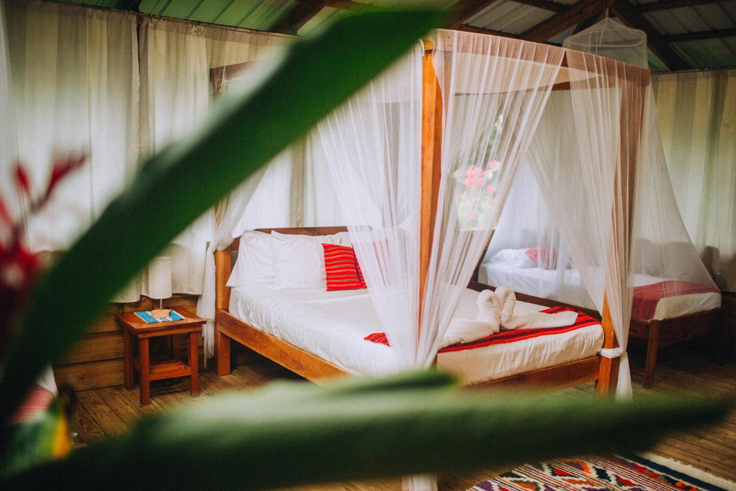 The Jungle Cabana photo 1