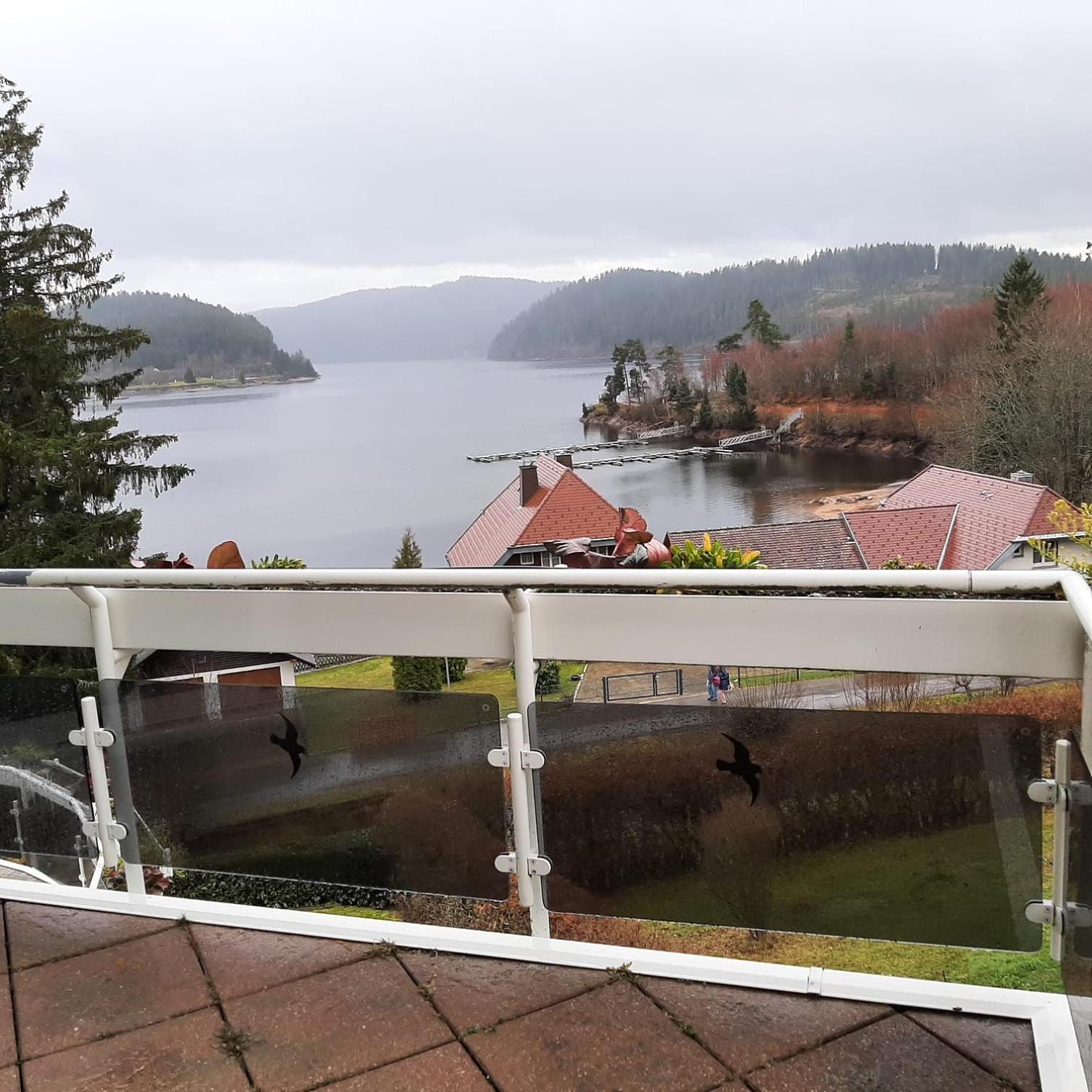 Apartment with Lake View - Photo 4