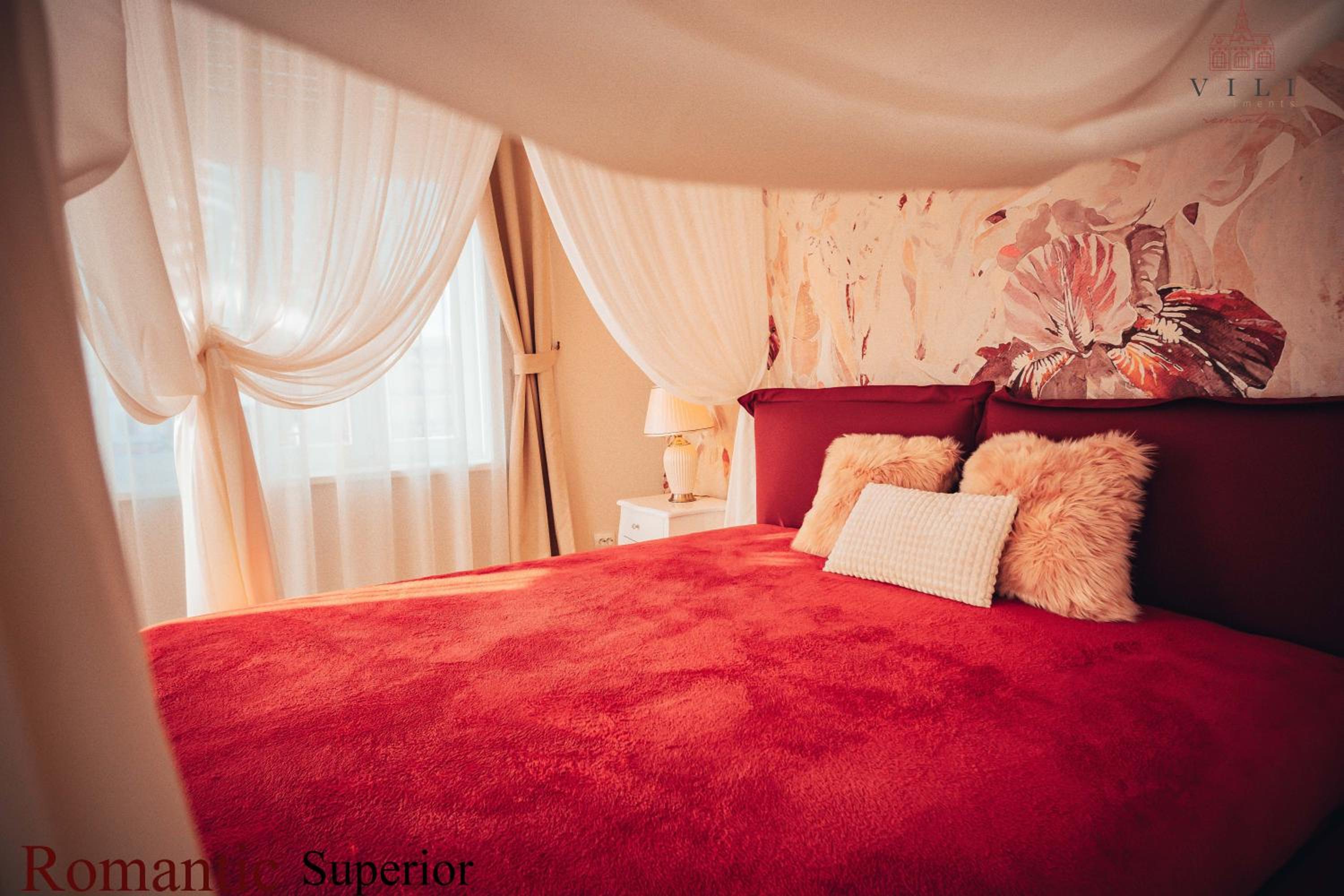 Superior Apartment - Photo 11