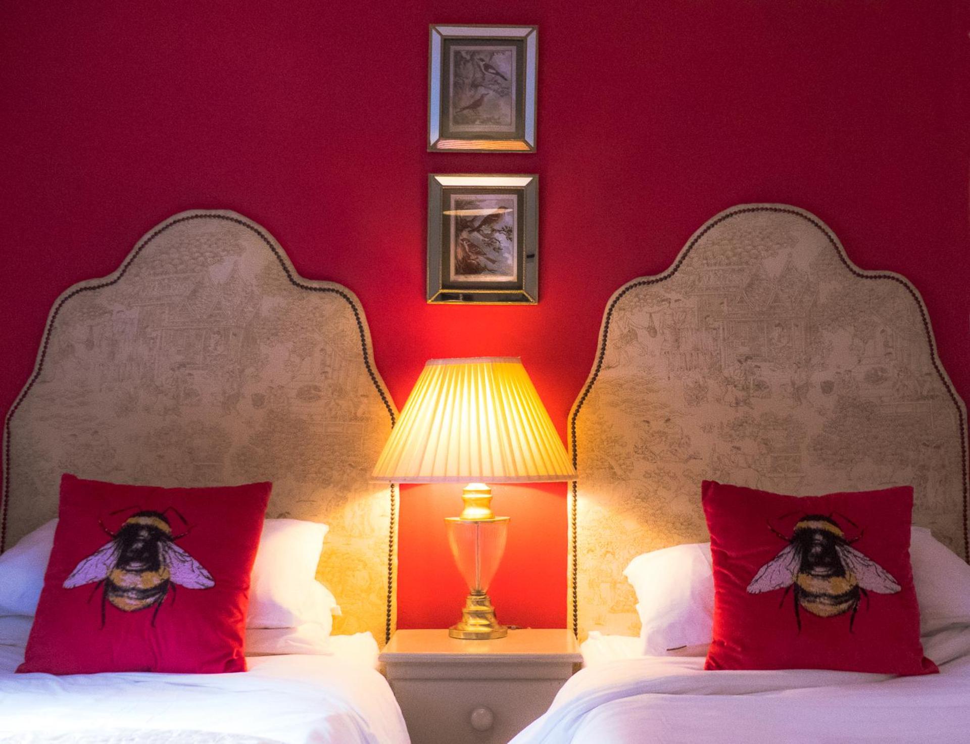 The Cozy photo 1