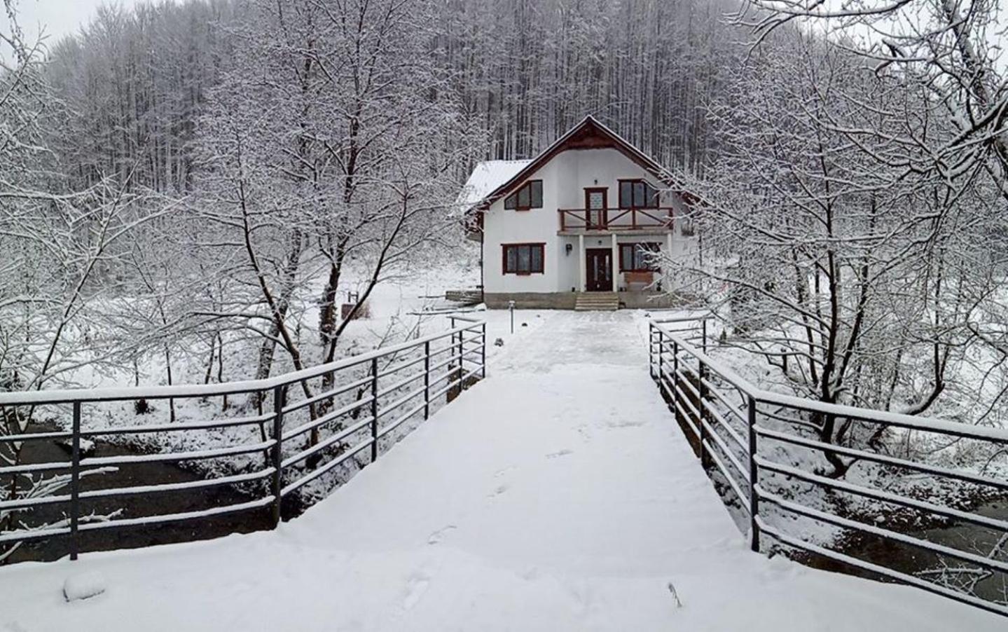 Holiday Home photo 1