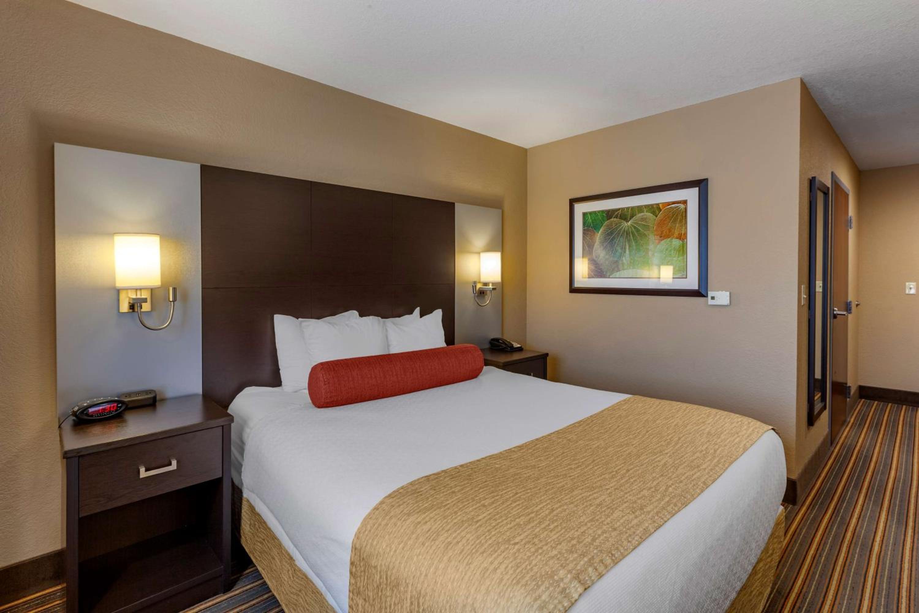 King Room With Roll-In Shower - Disability Access - Non Smoking photo 2