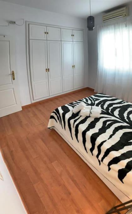 One-Bedroom Apartment photo 3