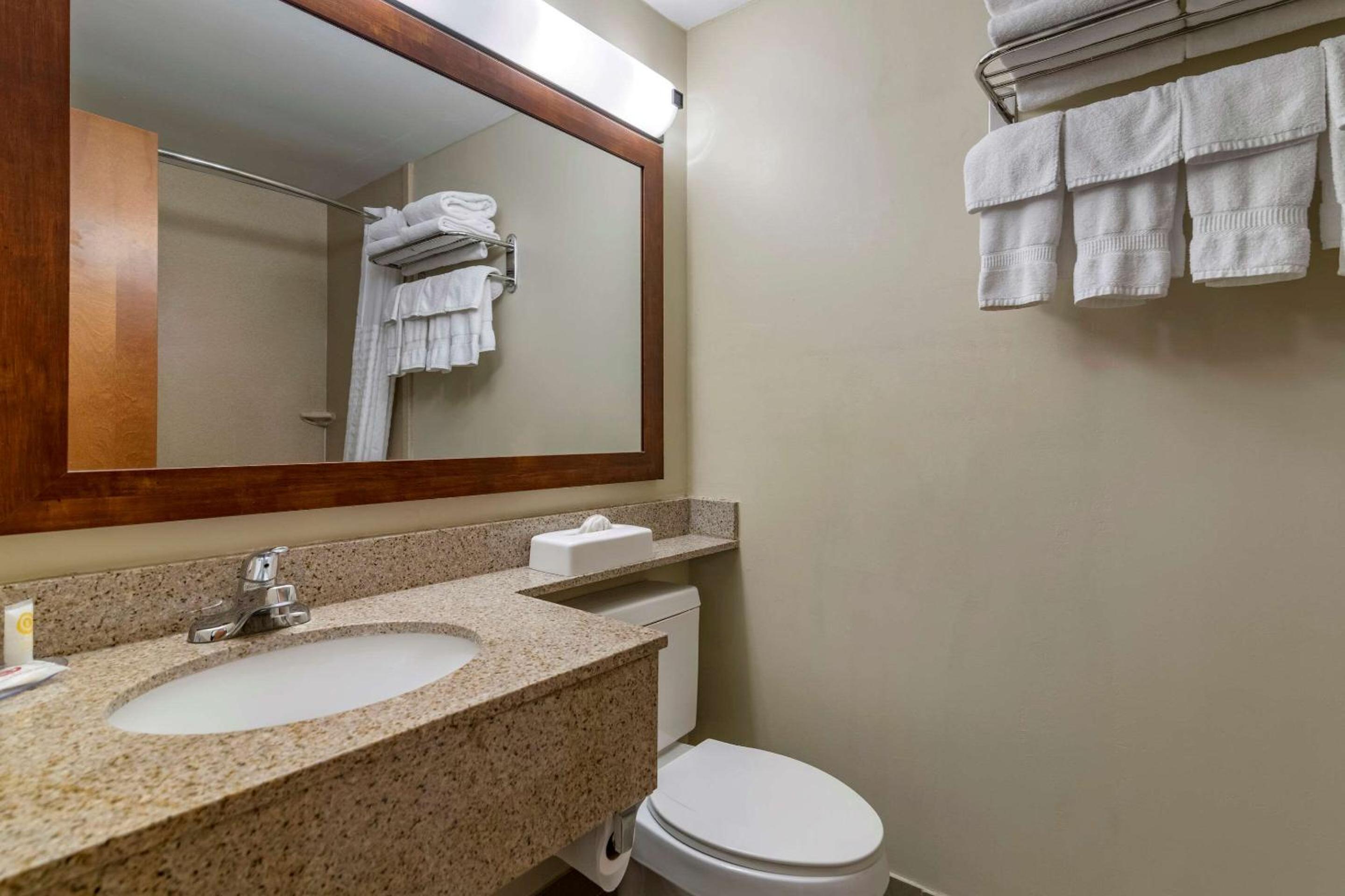 Comfort Inn Albany-South, Glenmont, Billede 4